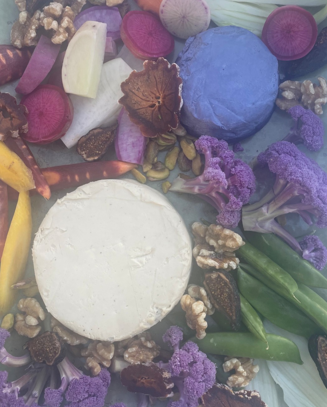 IMG_8729.jpeg IMG_8729.jpeg