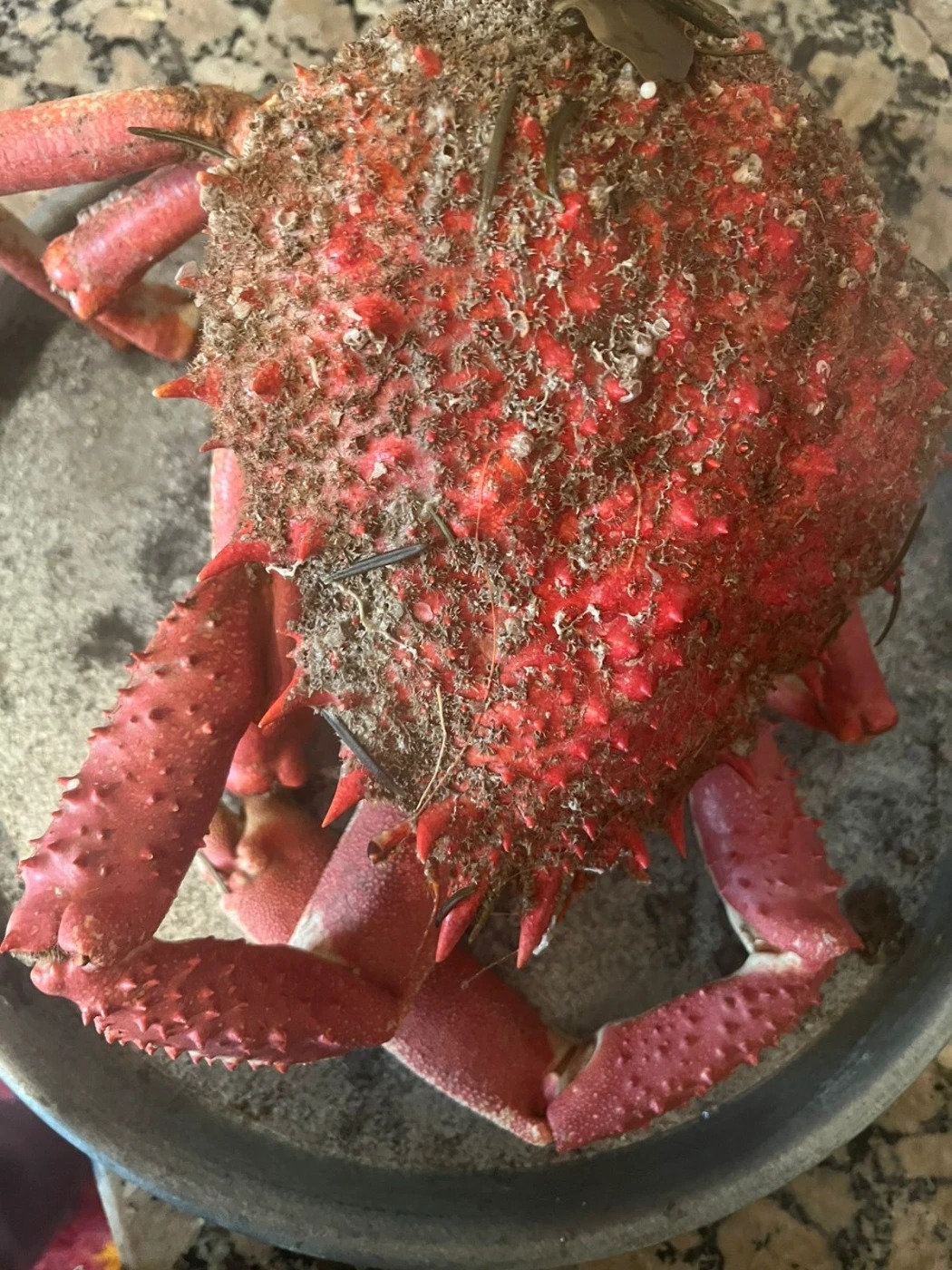 WhatsApp Image 2026-02-12 at 19.36.04.jpeg