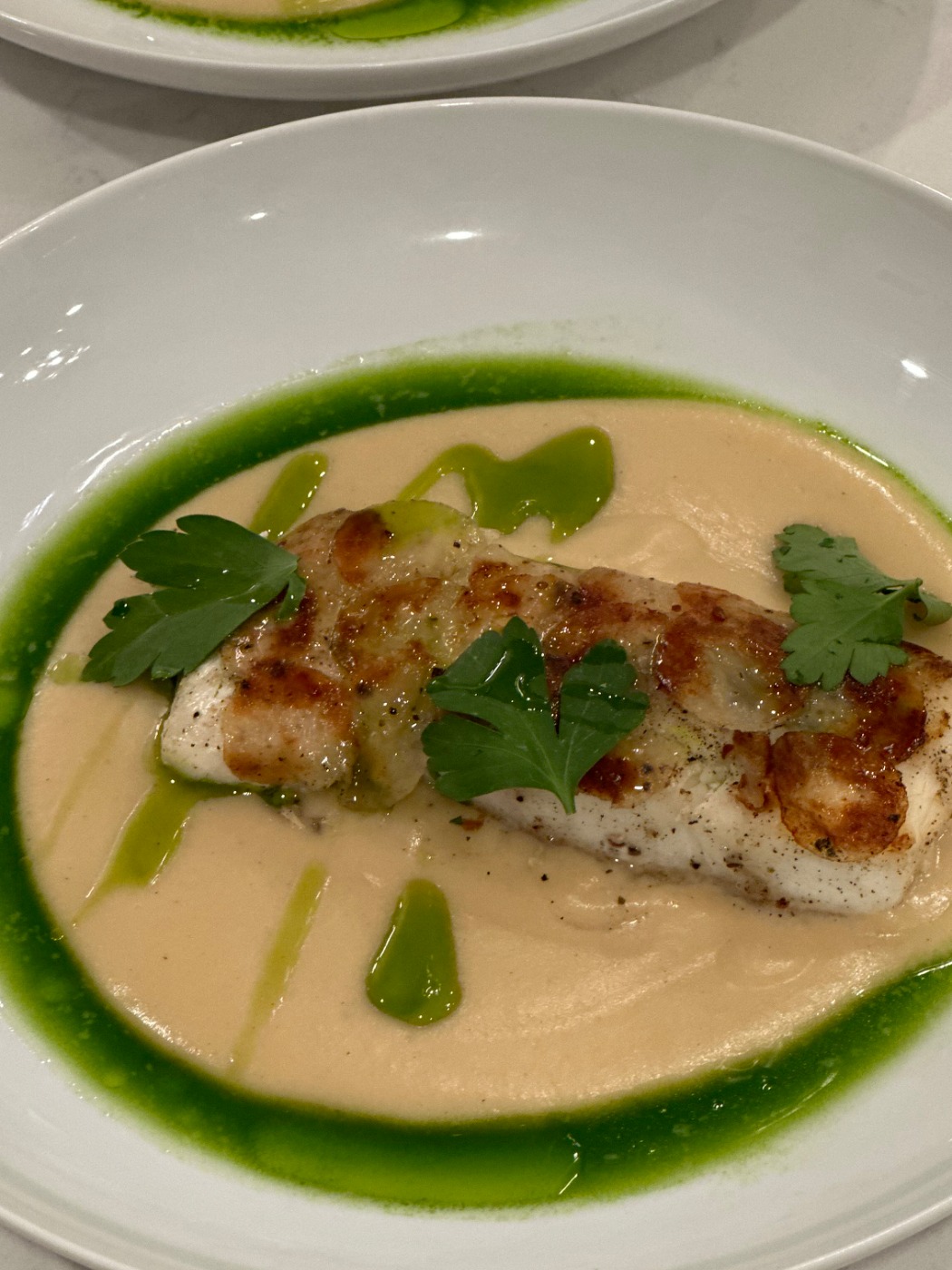 IMG_5993.jpeg IMG_5993.jpeg