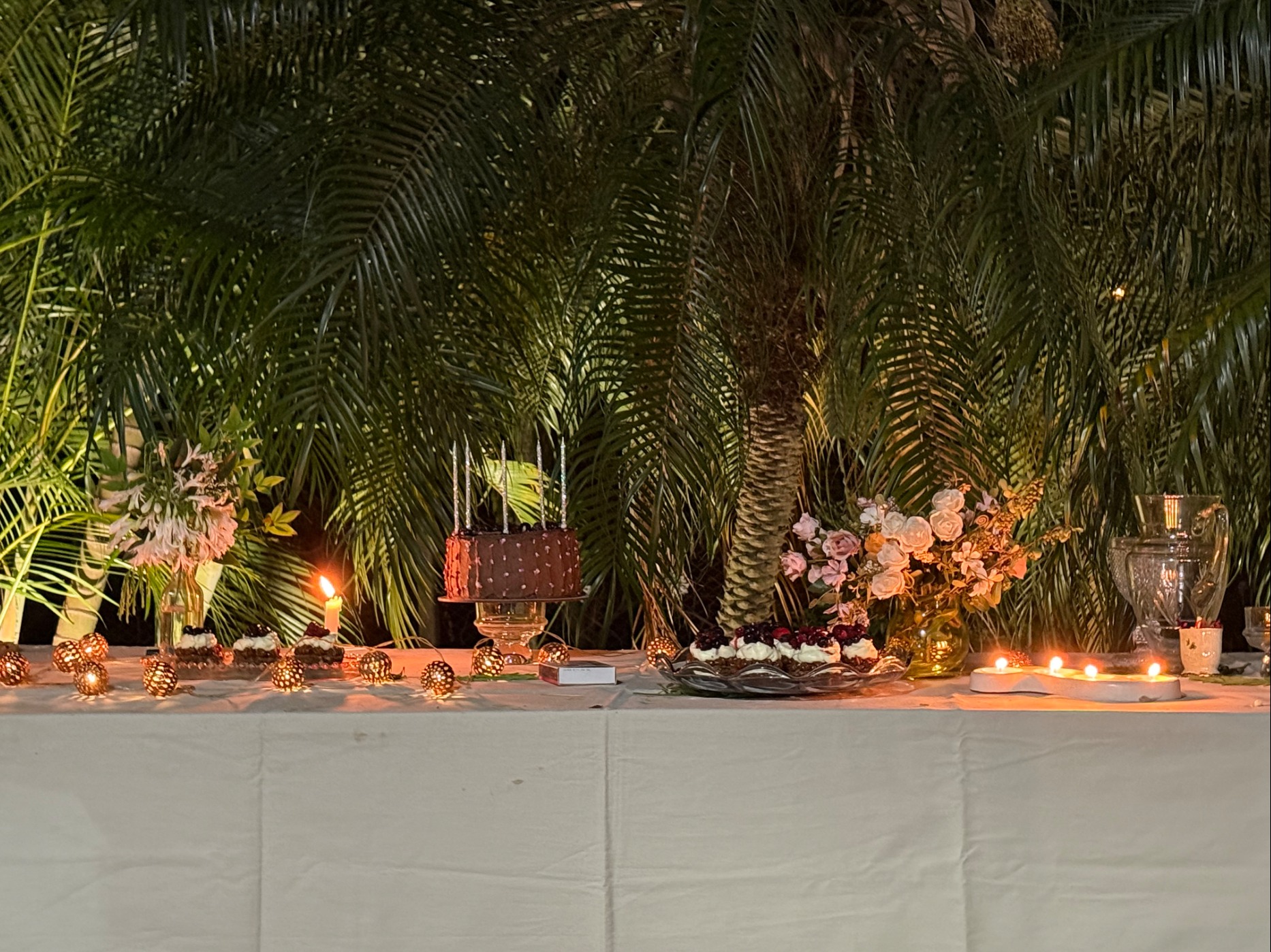 IMG_7774.jpeg IMG_7774.jpeg