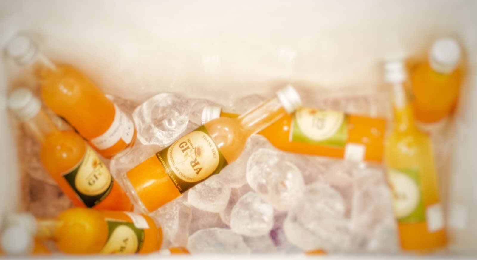 WhatsApp Image 2026-02-13 at 11.50.33-2.jpeg