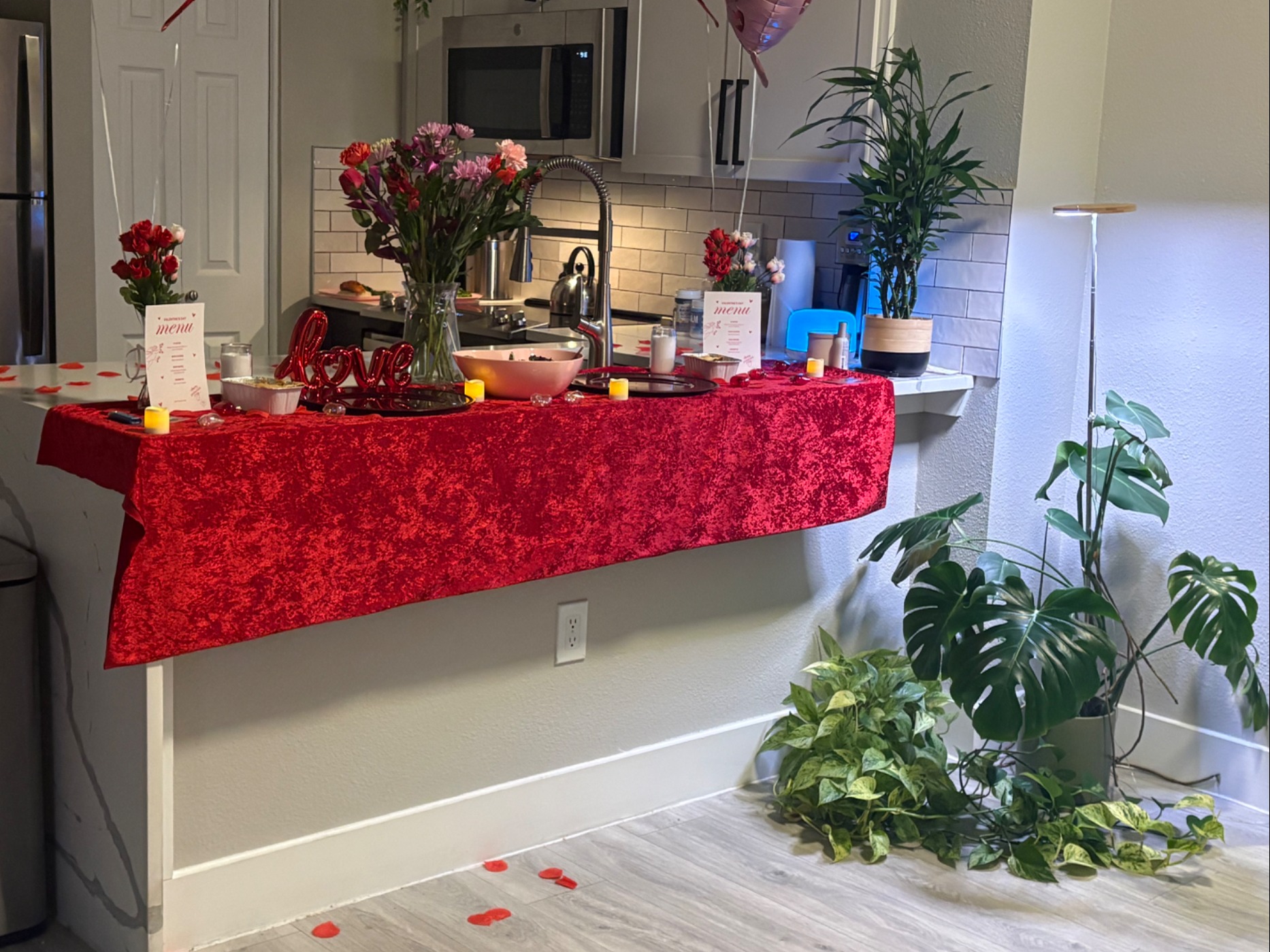 IMG_2512.jpeg IMG_2512.jpeg