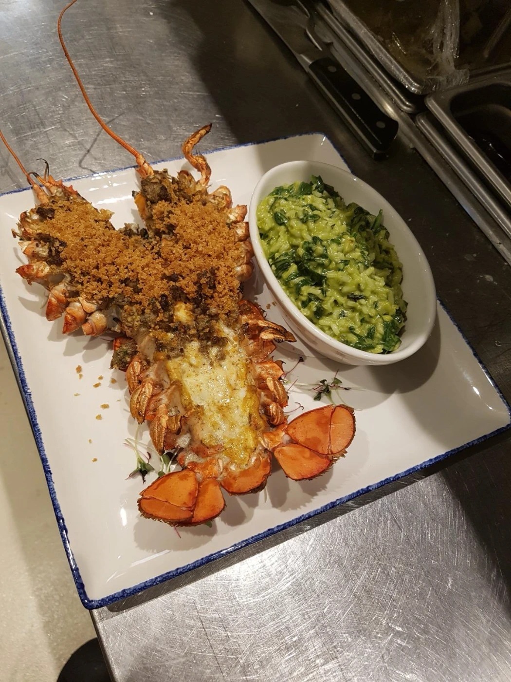 WhatsApp Image 2026-02-14 at 18.12.23.jpeg