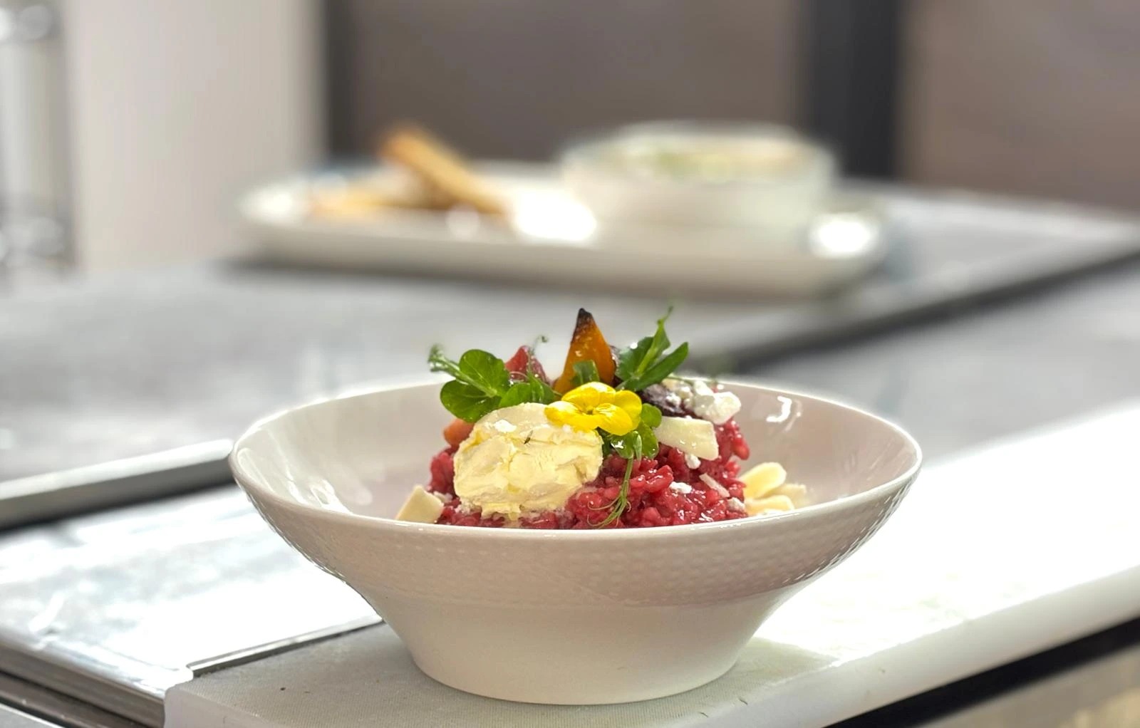 WhatsApp Image 2026-02-14 at 23.23.31 (10).jpeg