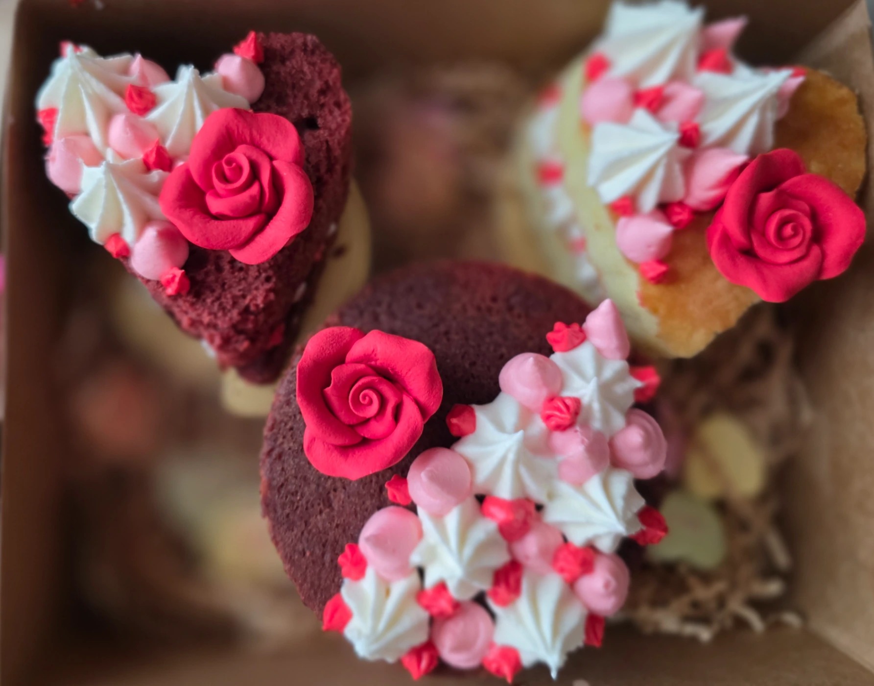 1000009059.jpg 1000009059.jpg