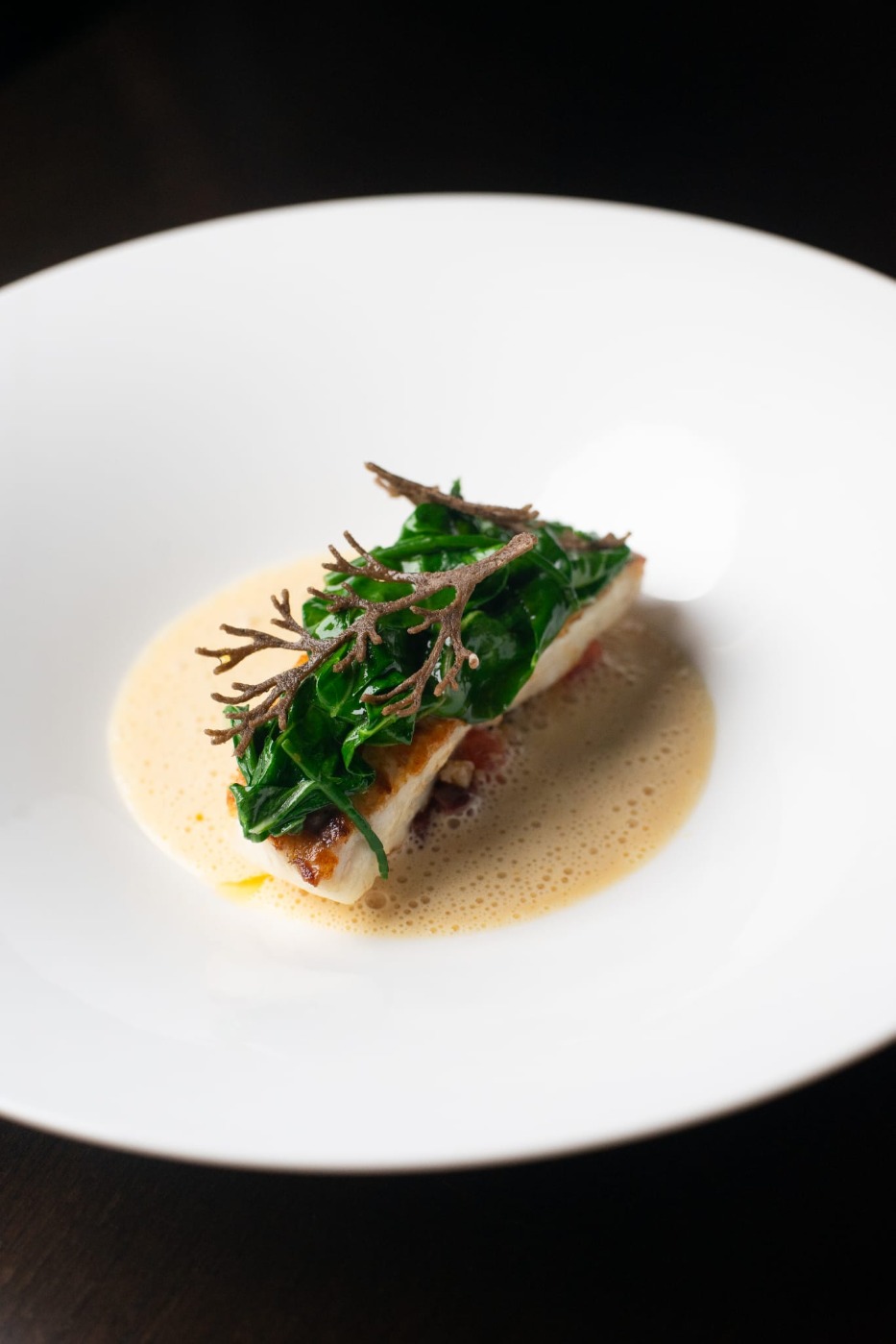 WhatsApp Image 2025-12-10 at 10.56.50.jpeg