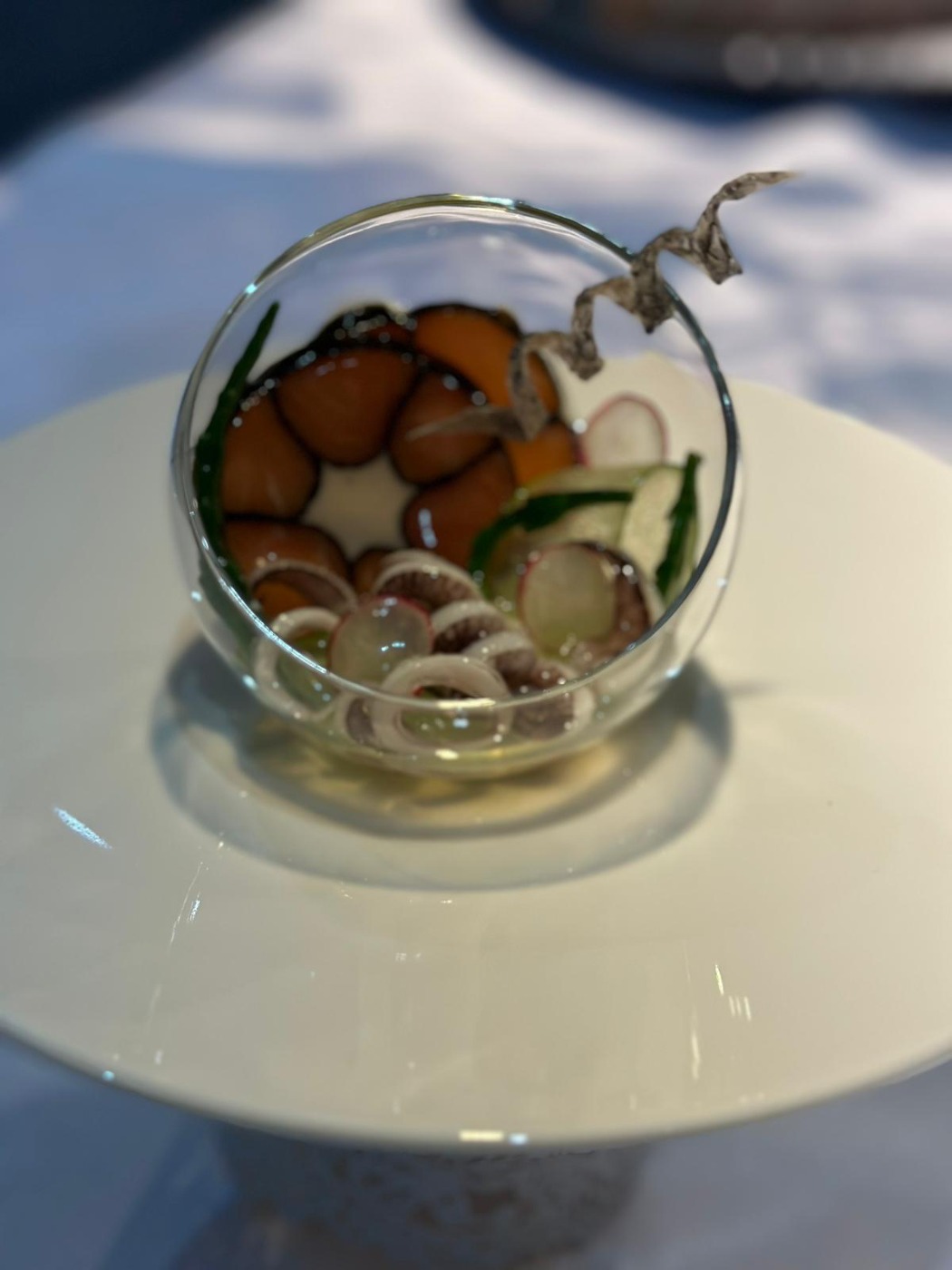 c44c3add-ee06-40b4-8091-6adcc8cac9e9.jpeg c44c3add-ee06-40b4-8091-6adcc8cac9e9.jpeg