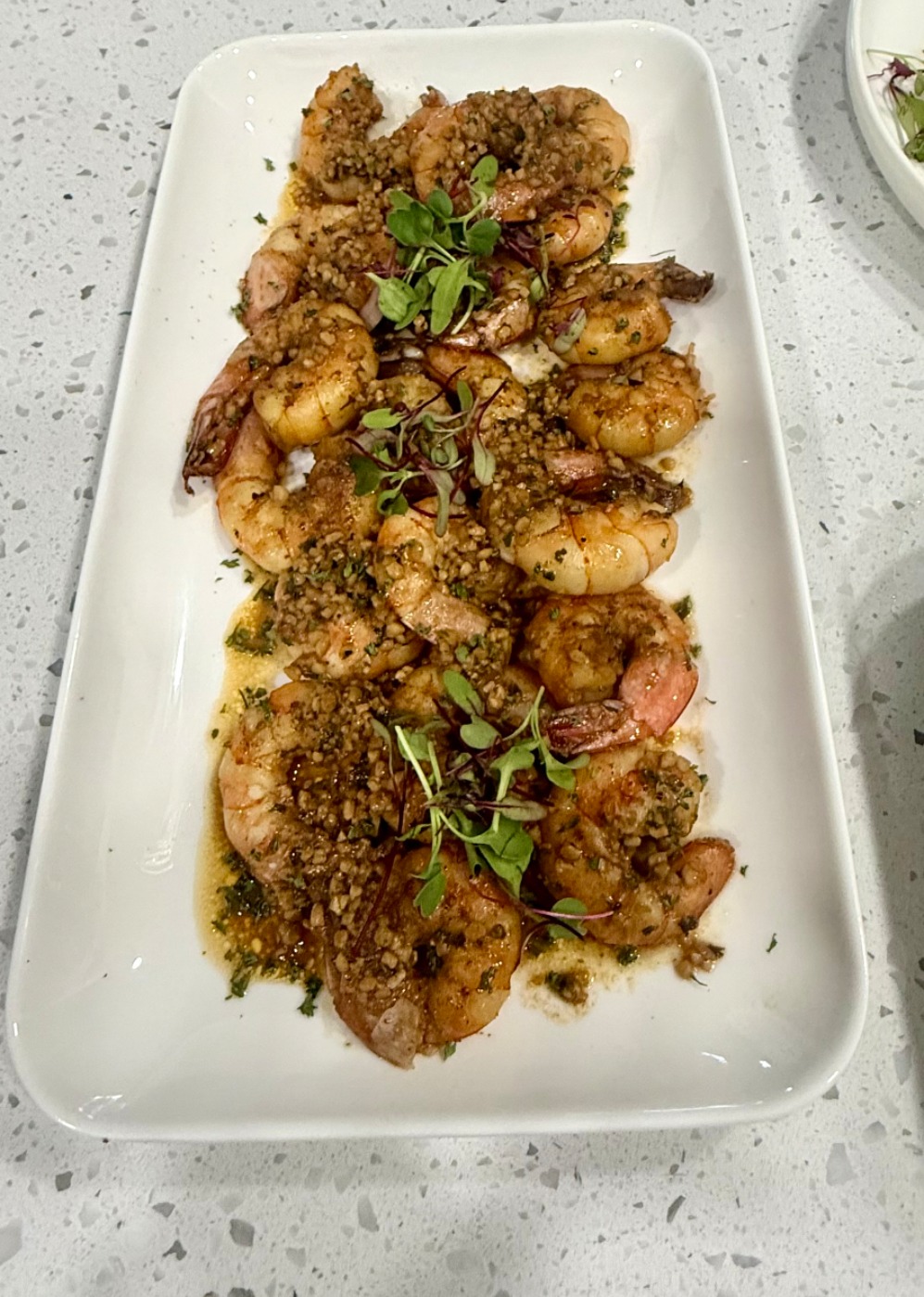 IMG_2255.jpeg IMG_2255.jpeg