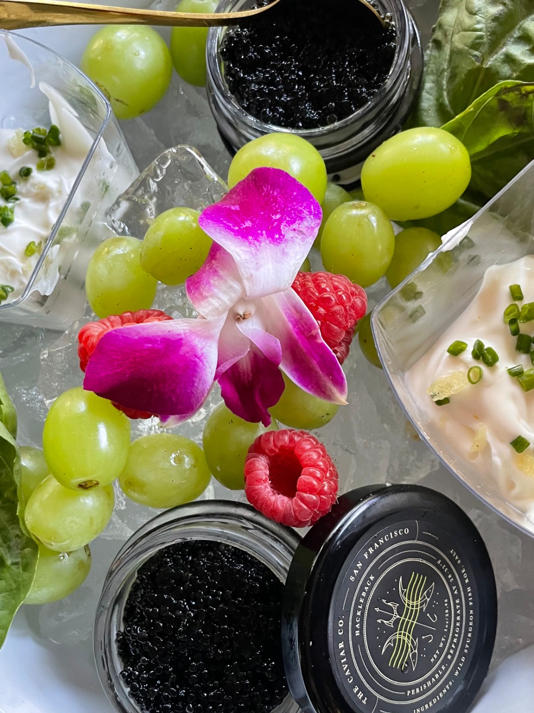 IMG_8813.jpeg IMG_8813.jpeg