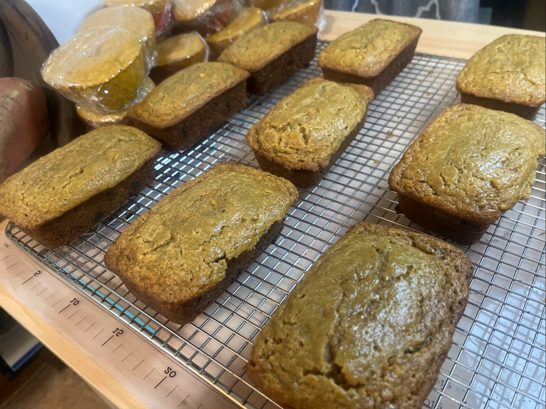 IMG_1798.jpeg IMG_1798.jpeg