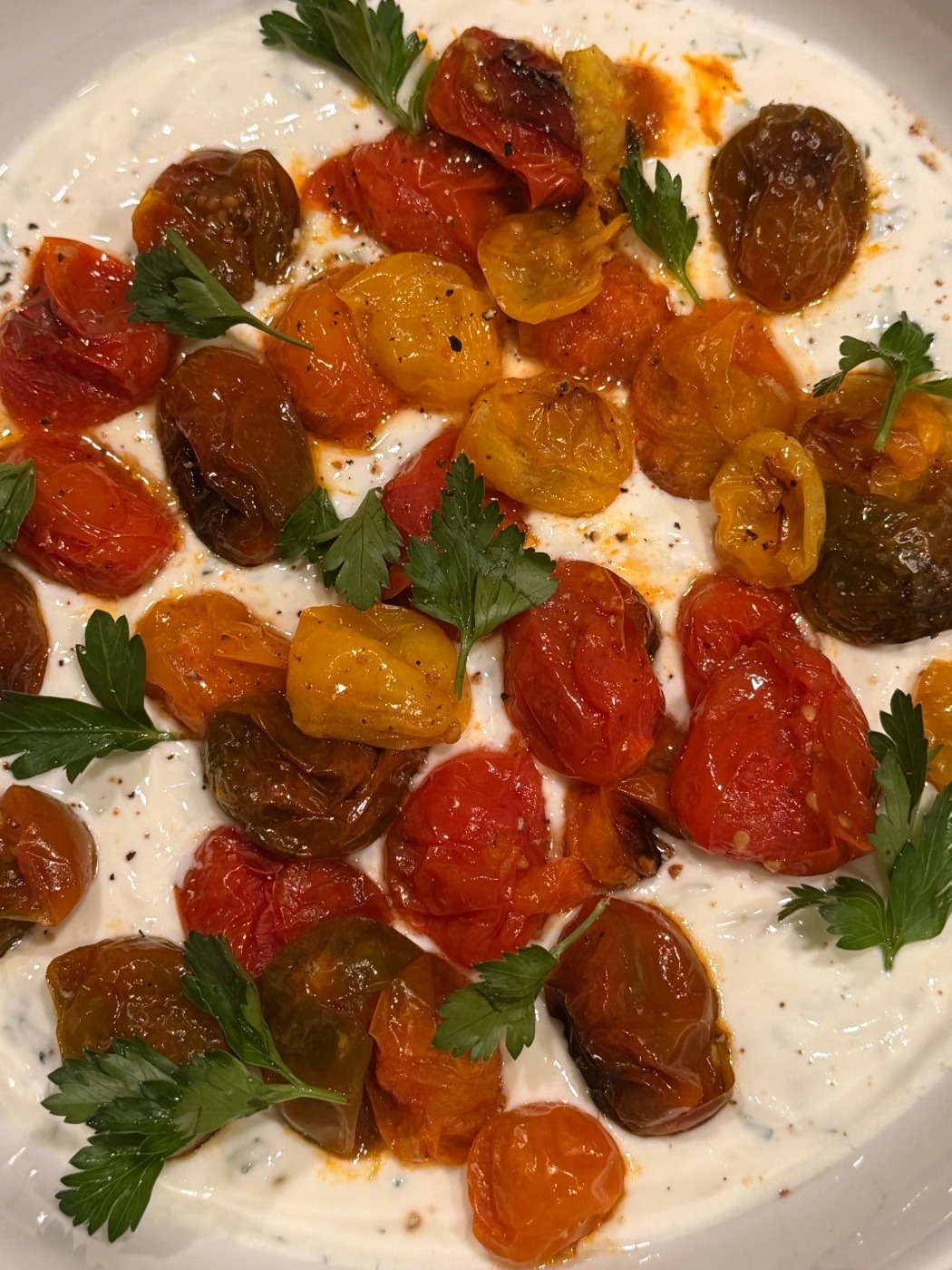 IMG_7599.jpeg IMG_7599.jpeg