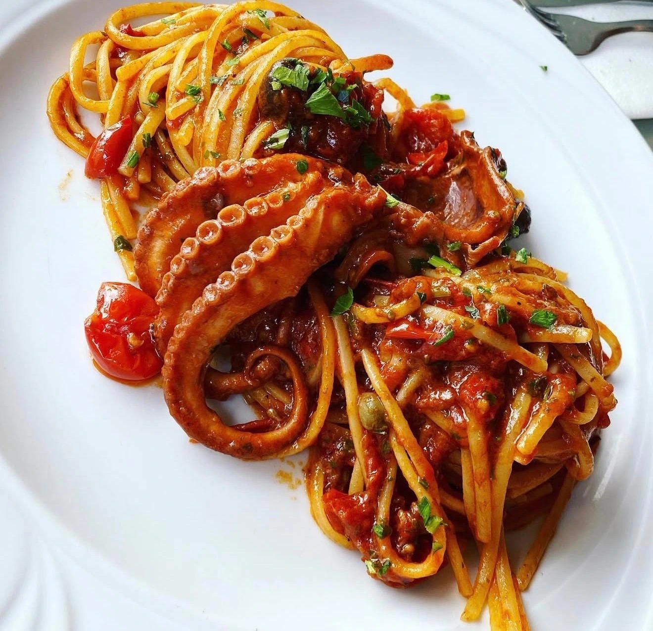 spaghetto llico .jpeg