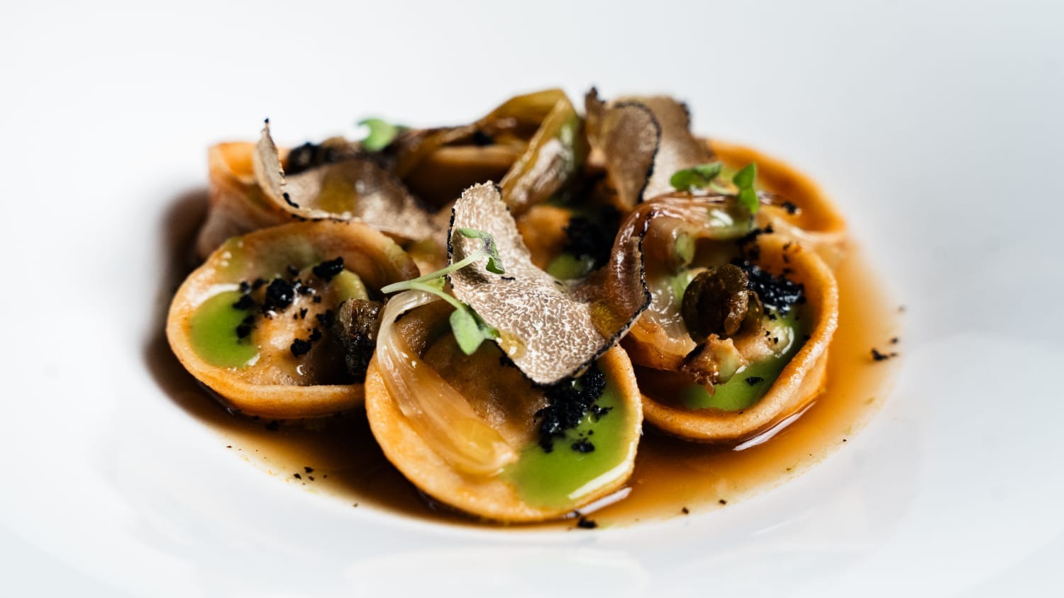 WhatsApp Image 2025-12-10 at 10.55.57.jpeg