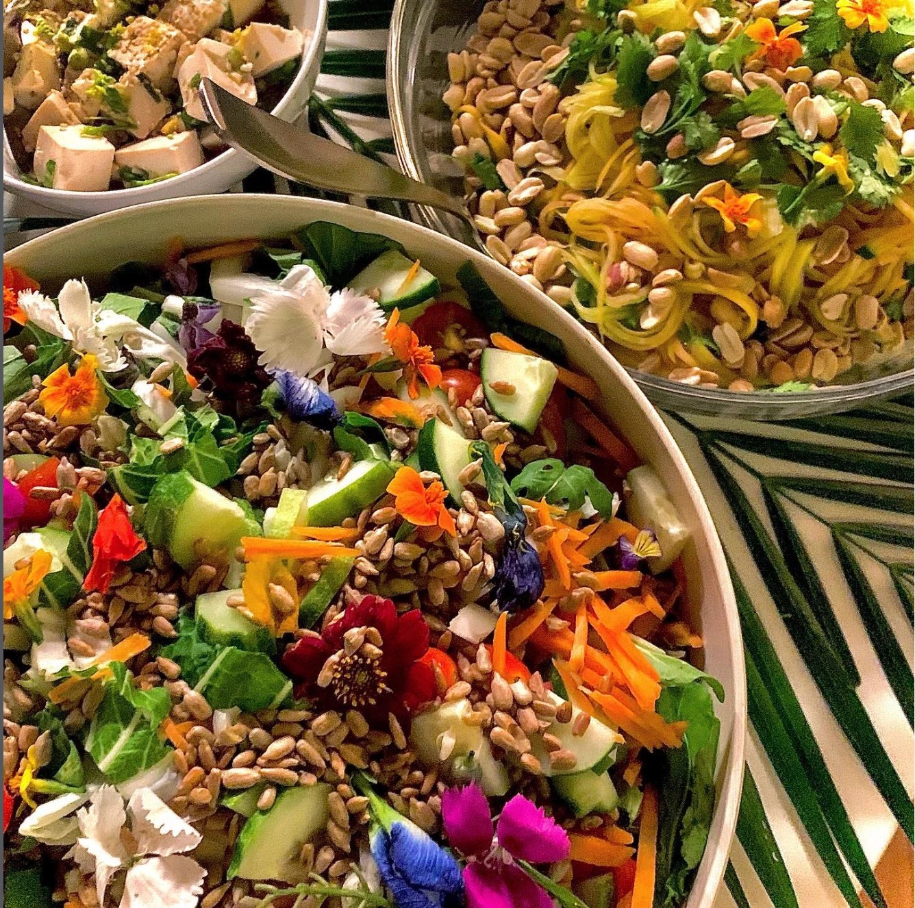 Captura de pantalla 2026-02-19 a la(s) 12.56.24 p.m..png