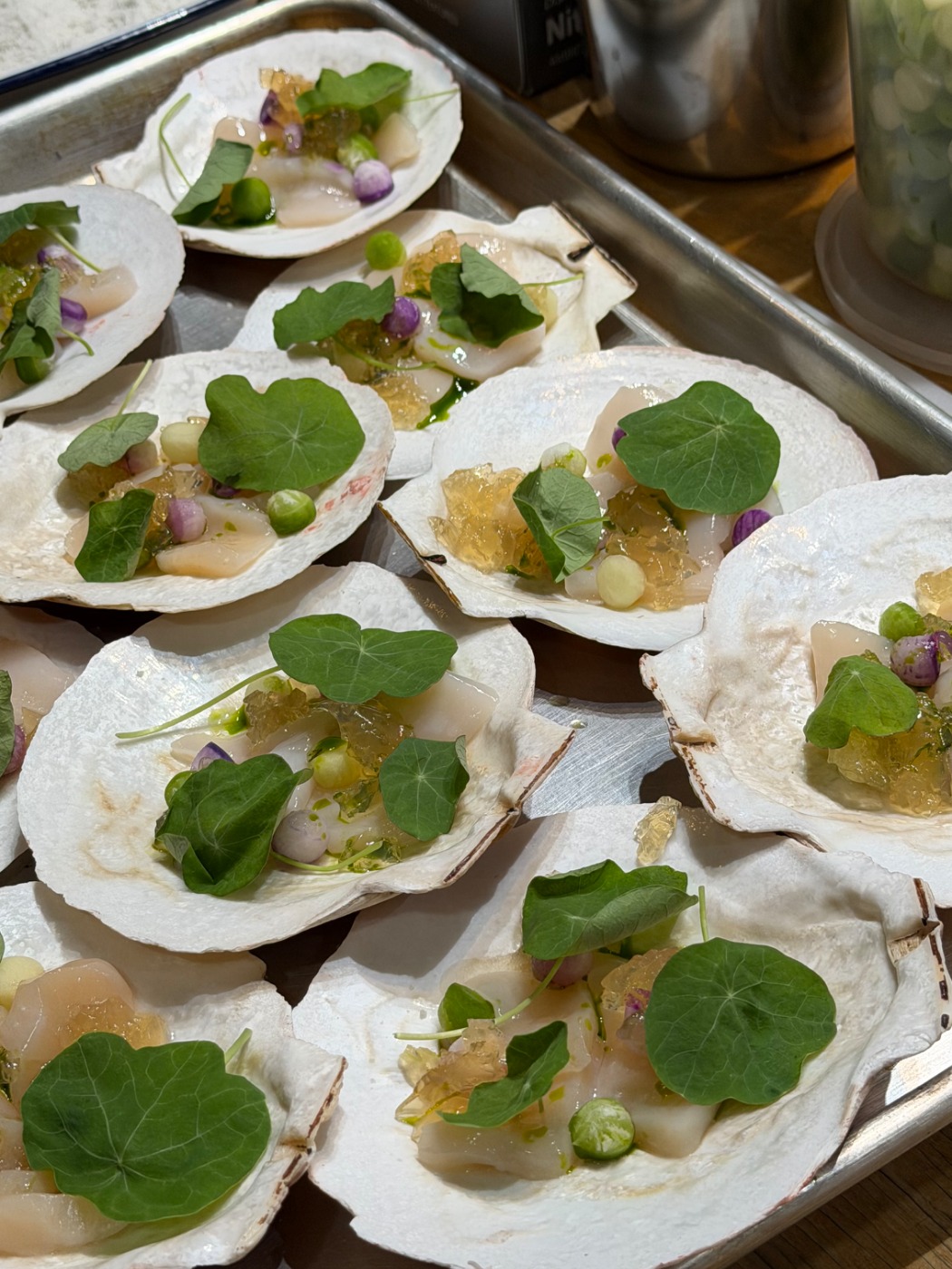 IMG_3811.jpeg IMG_3811.jpeg