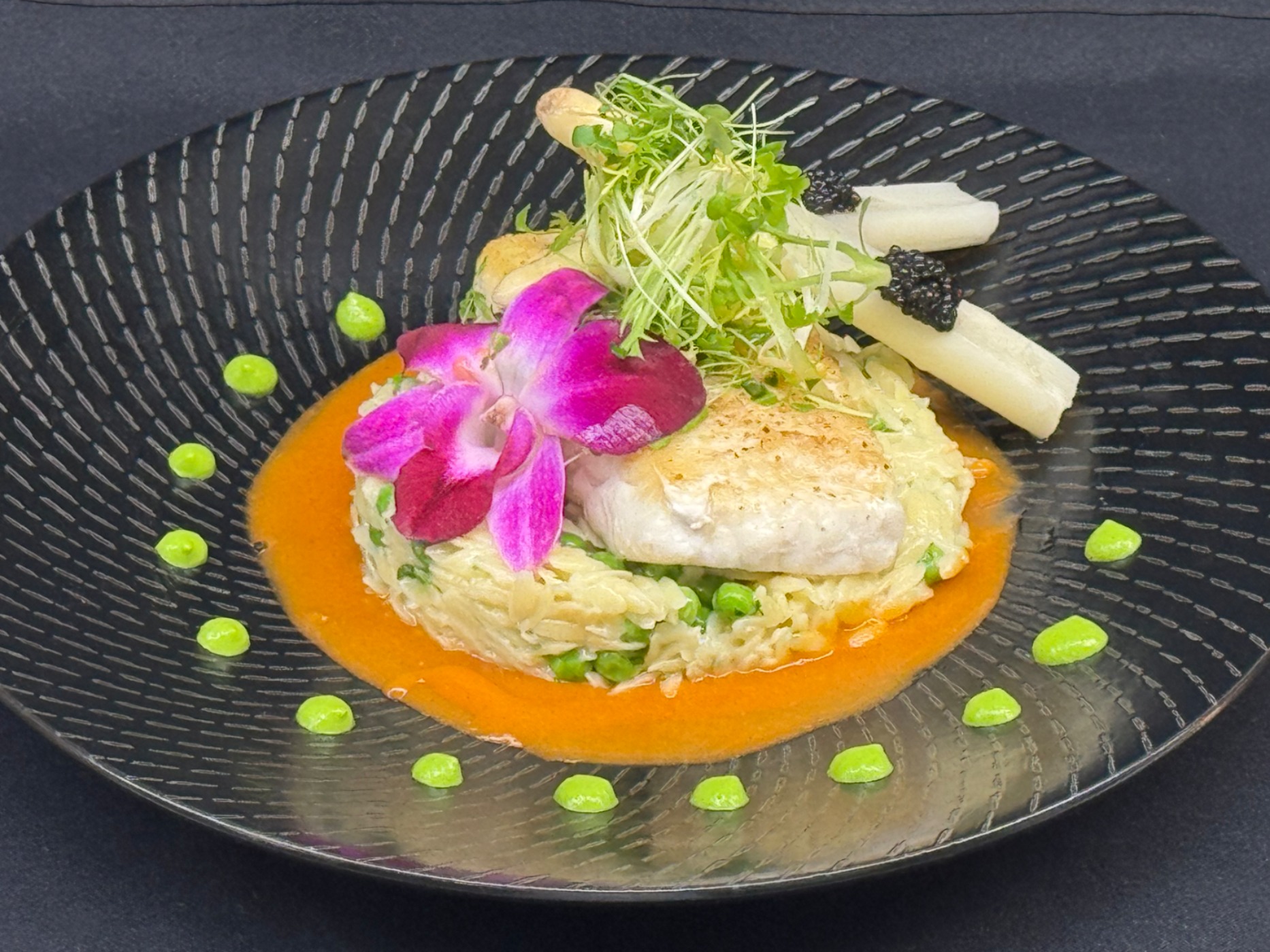 IMG_0667.jpeg IMG_0667.jpeg