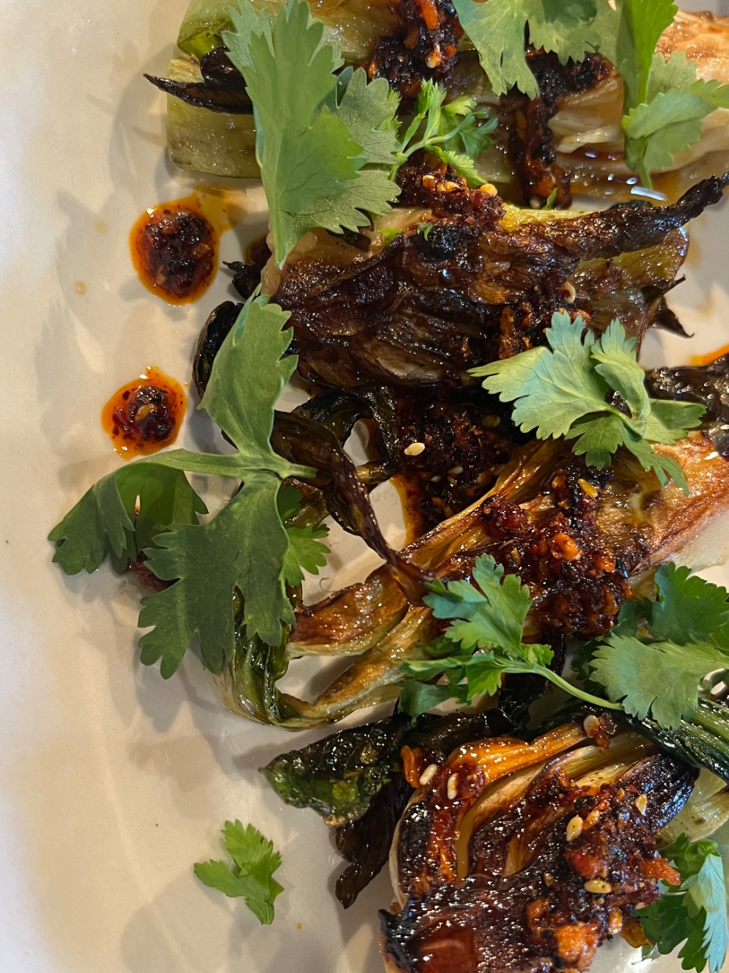 IMG_2384.jpeg IMG_2384.jpeg