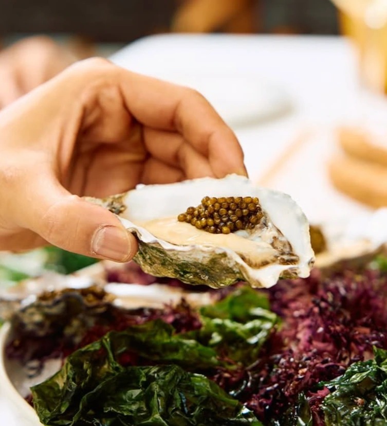 Captura de pantalla 2026-02-22 a las 18.13.39.png