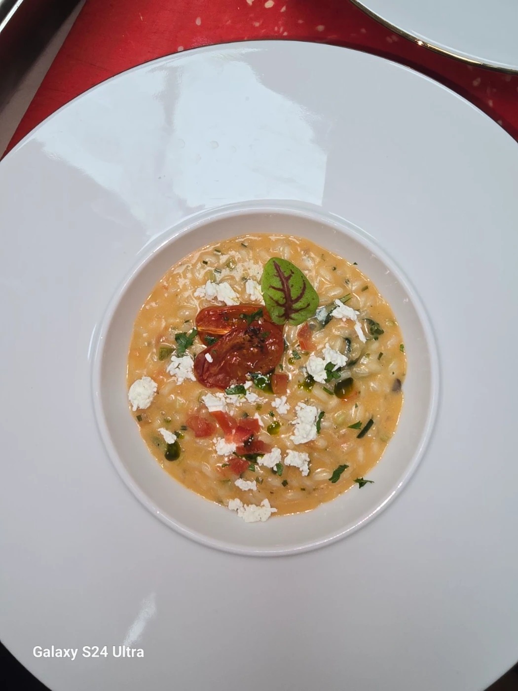 1000014107.jpg 1000014107.jpg