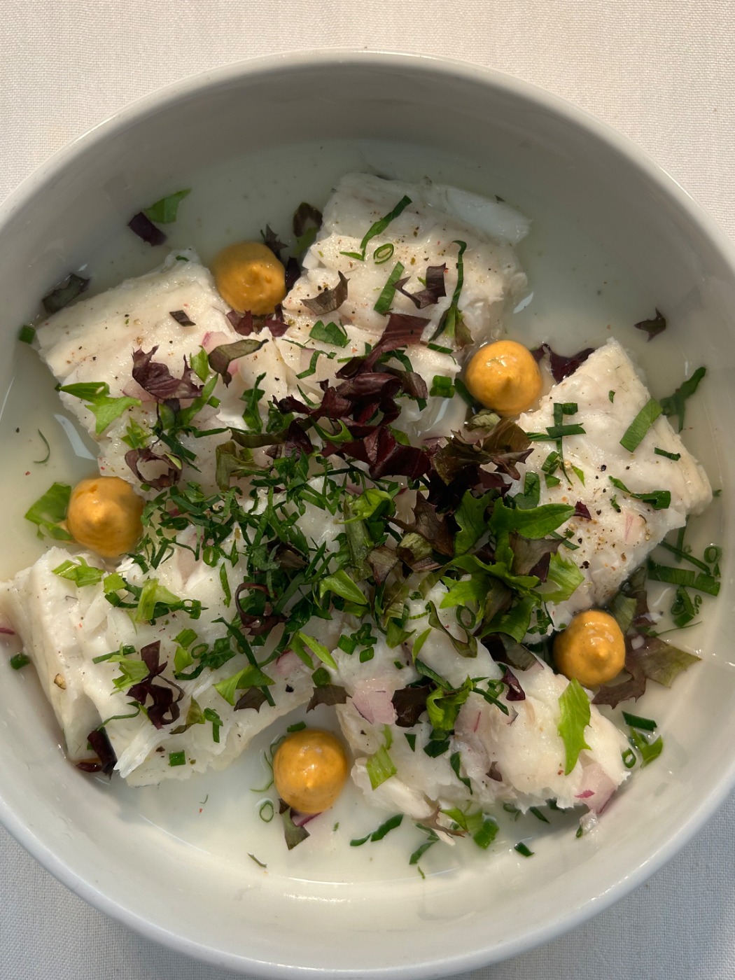 IMG_9645.jpeg IMG_9645.jpeg