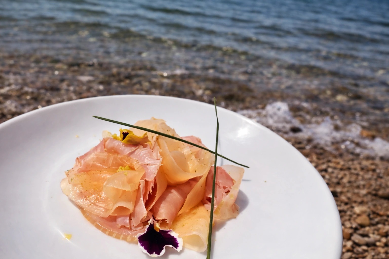 ChatGPT Image Feb 23, 2026, 06_42_35 AM.png