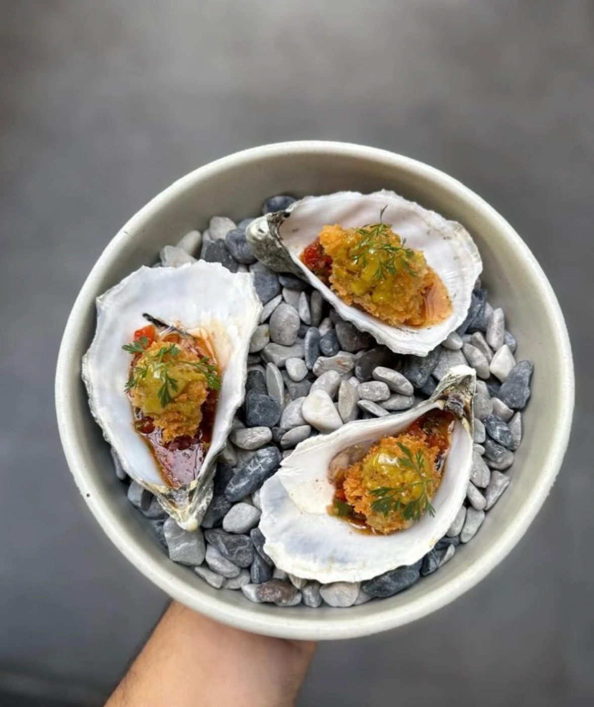 Screenshot 2026-02-23 at 7.51.22 a.m..png