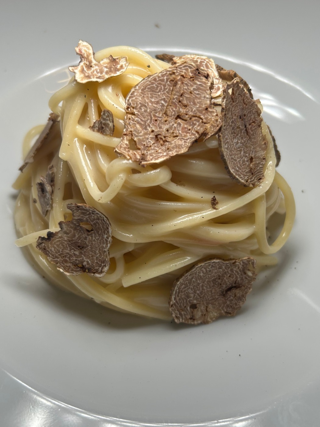 IMG_4808.jpeg IMG_4808.jpeg