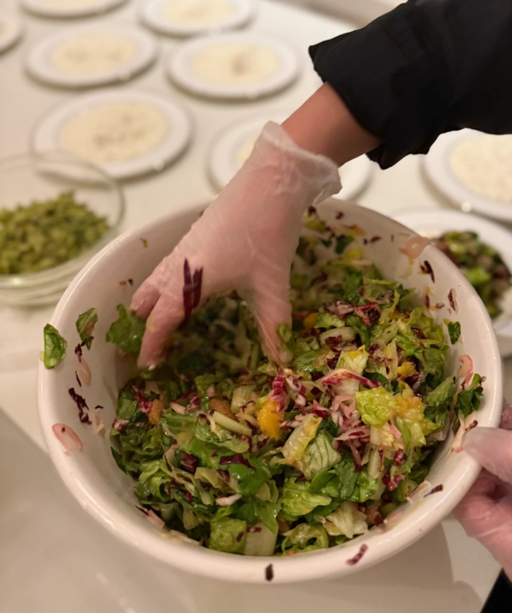 IMG_7796.jpeg IMG_7796.jpeg