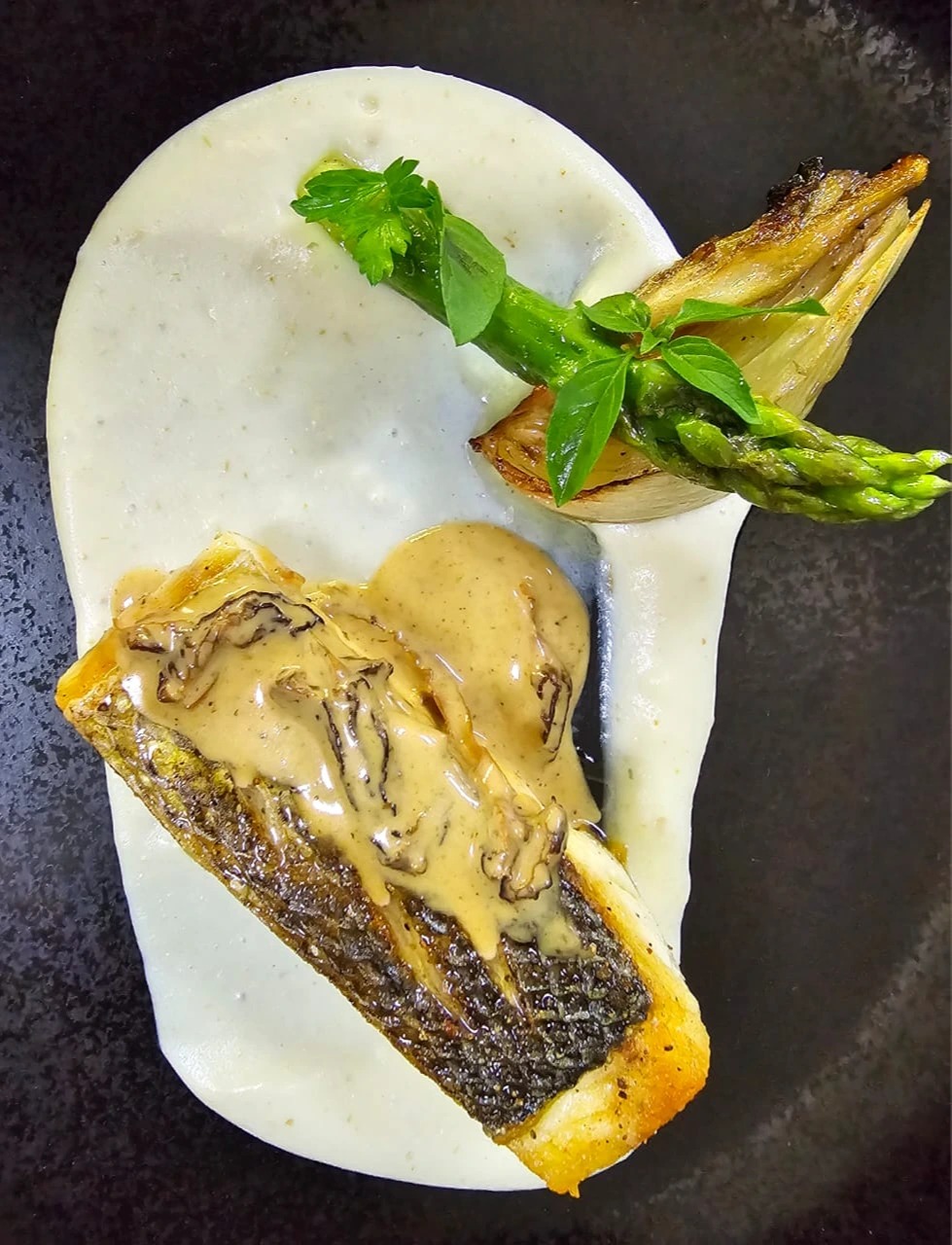 WhatsApp Image 2026-02-18 at 19.25.16.jpeg