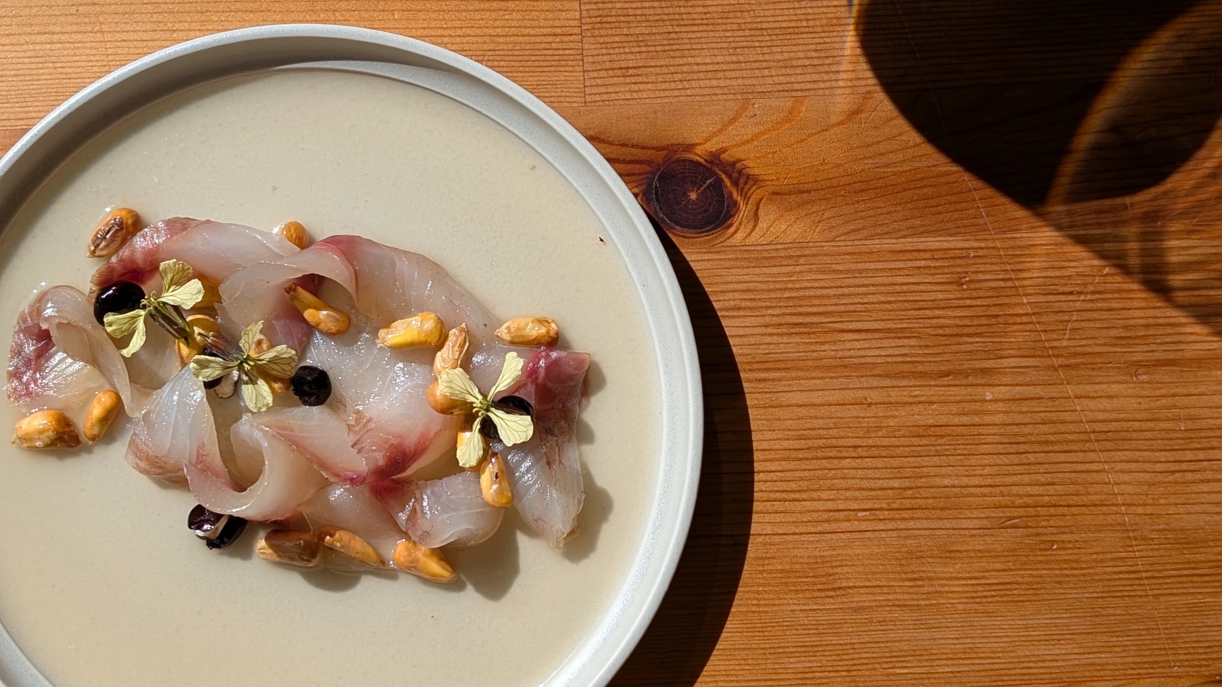 PXL_20250403_093436570.PORTRAIT.ORIGINAL.jpg PXL_20250403_093436570.PORTRAIT.ORIGINAL.jpg