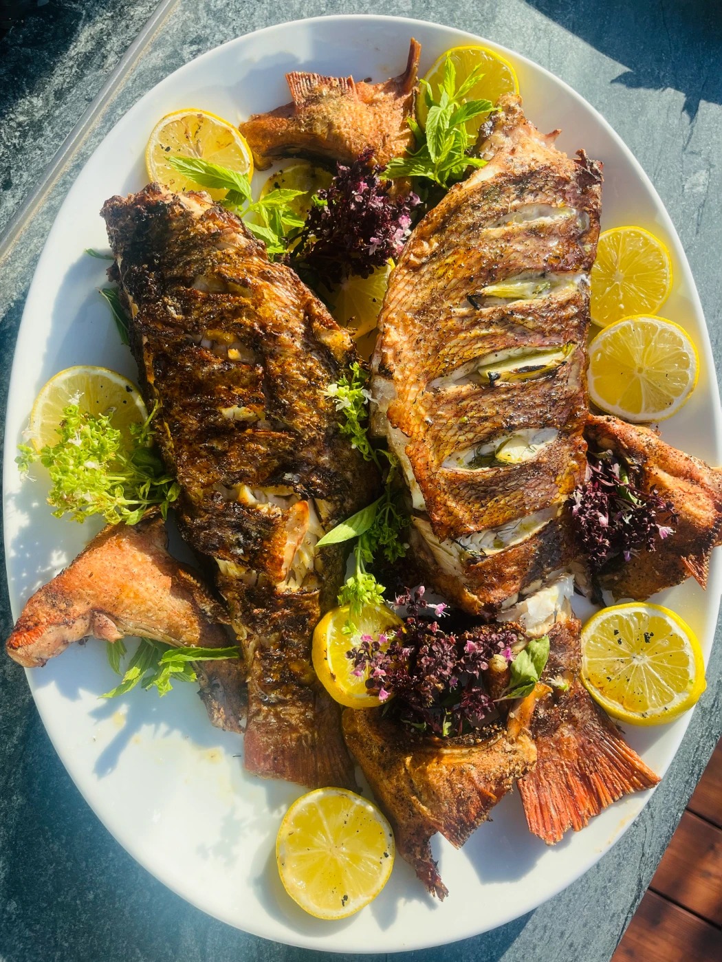 IMG_6218(1).jpeg IMG_6218(1).jpeg