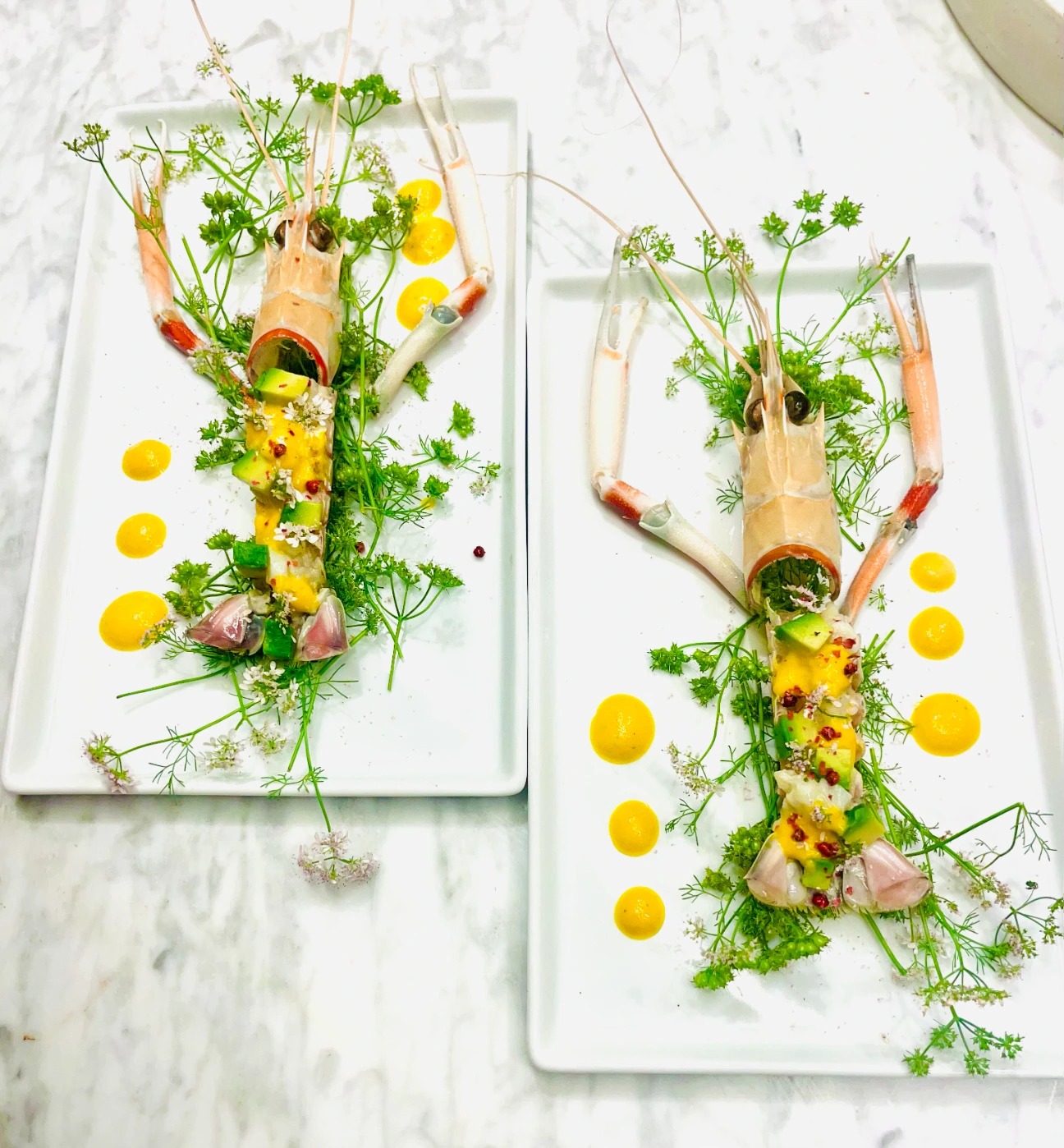 IMG_5766.jpeg IMG_5766.jpeg