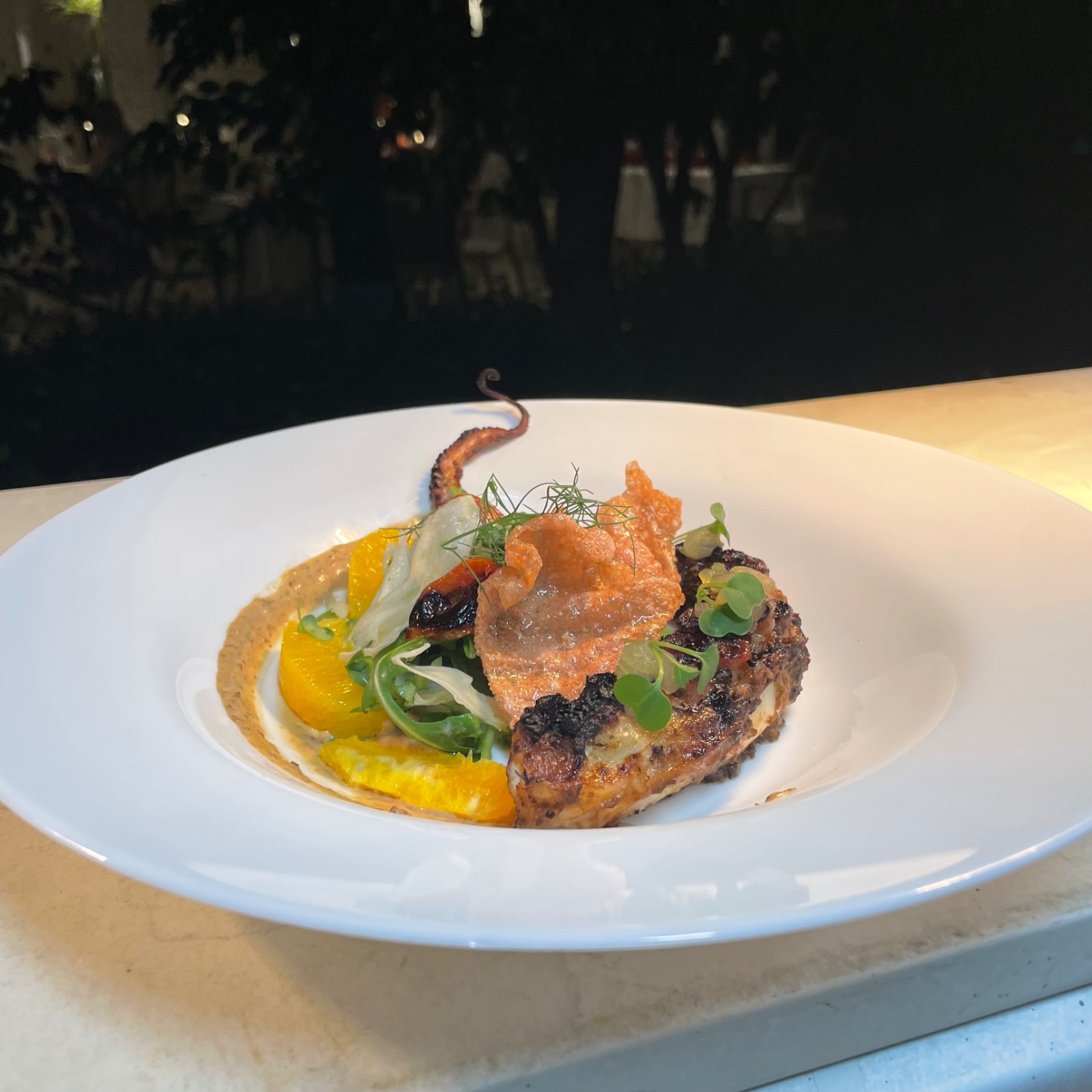 IMG_8773.jpeg IMG_8773.jpeg