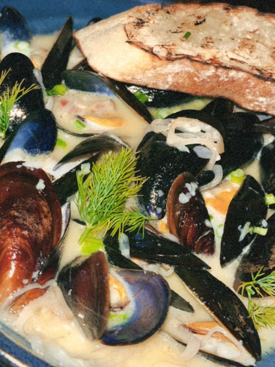 IMG_3393.jpeg IMG_3393.jpeg