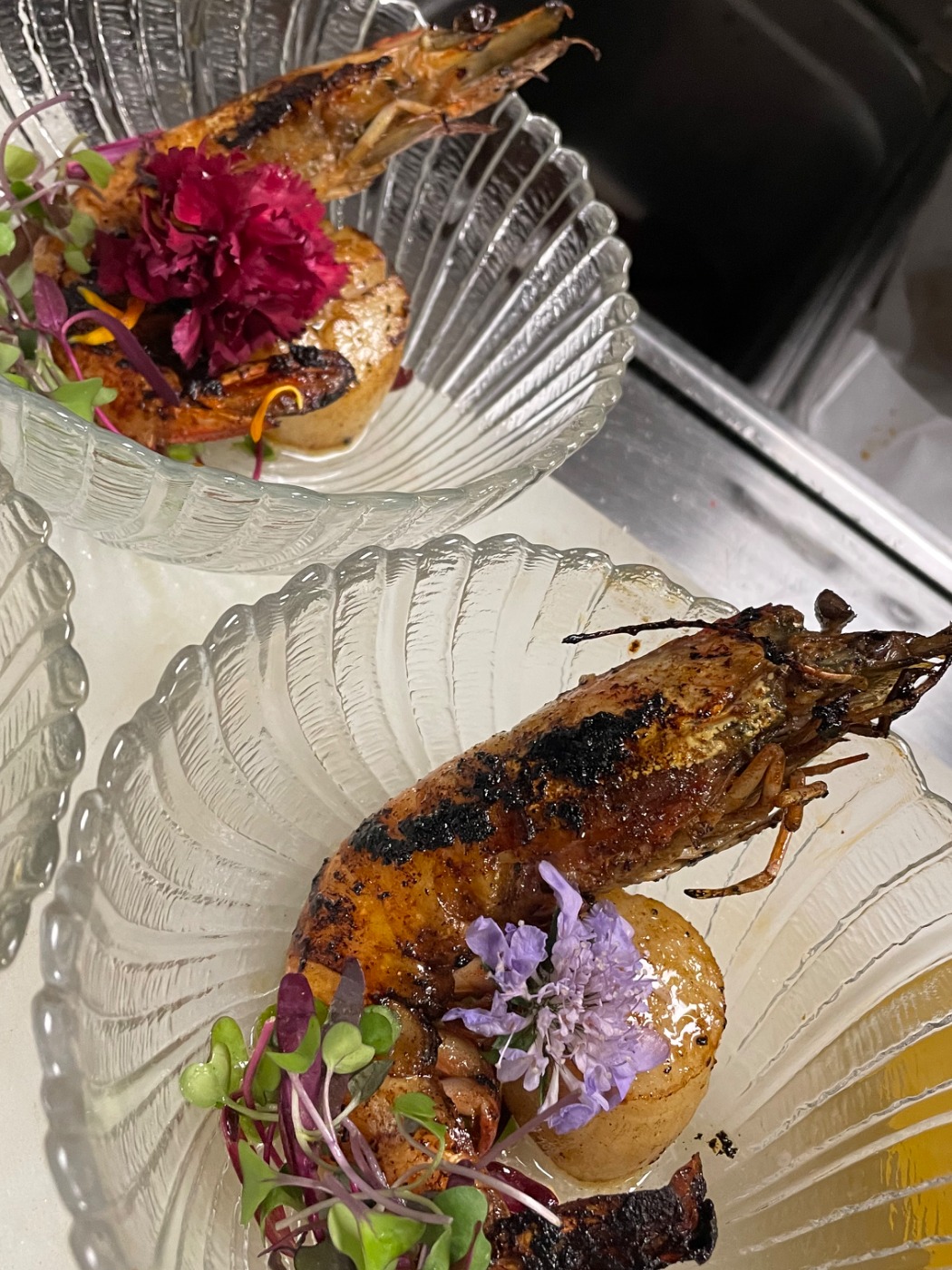 IMG_0018.jpeg IMG_0018.jpeg