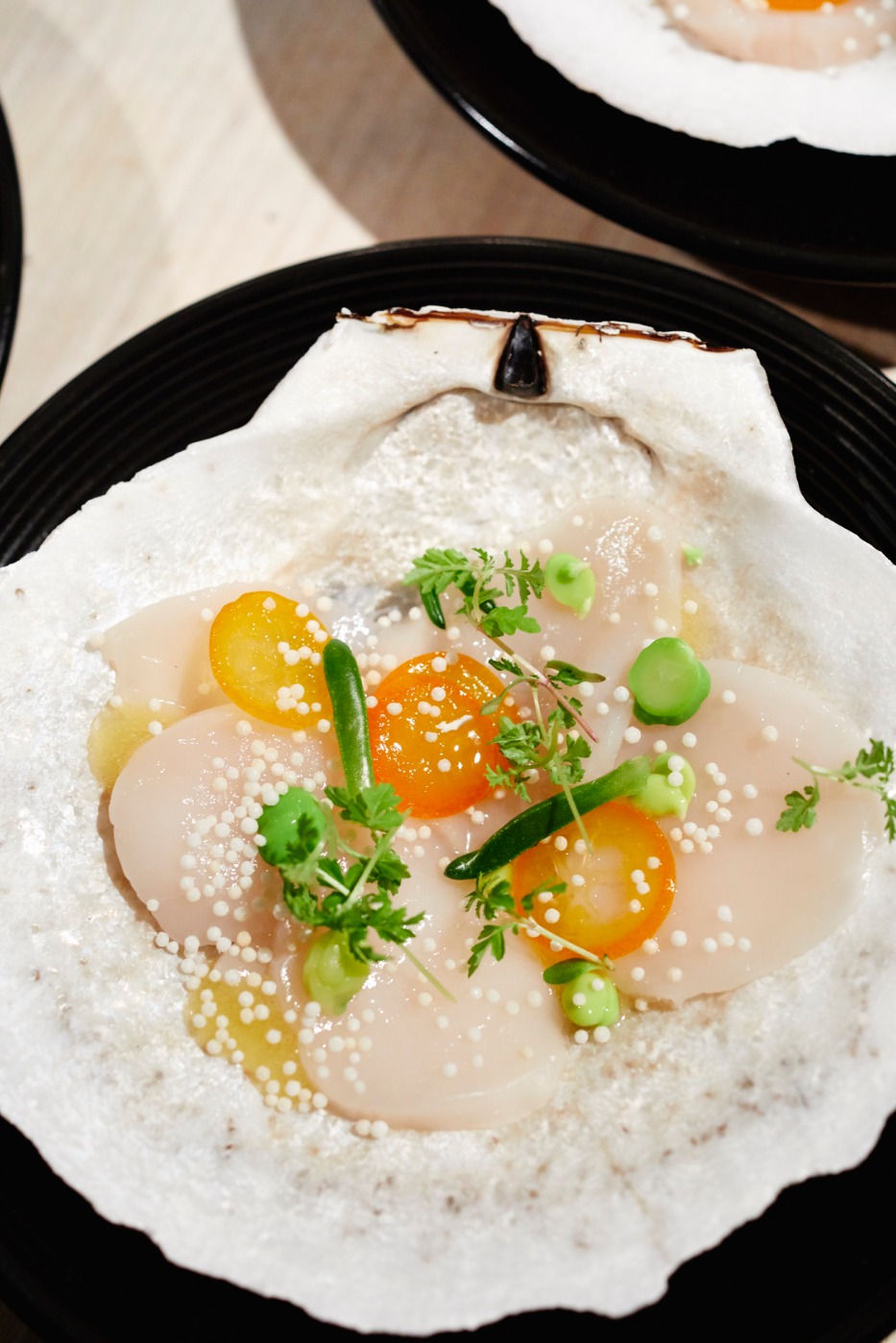 0502119_DC_JBF_BTB_0175.jpg 0502119_DC_JBF_BTB_0175.jpg