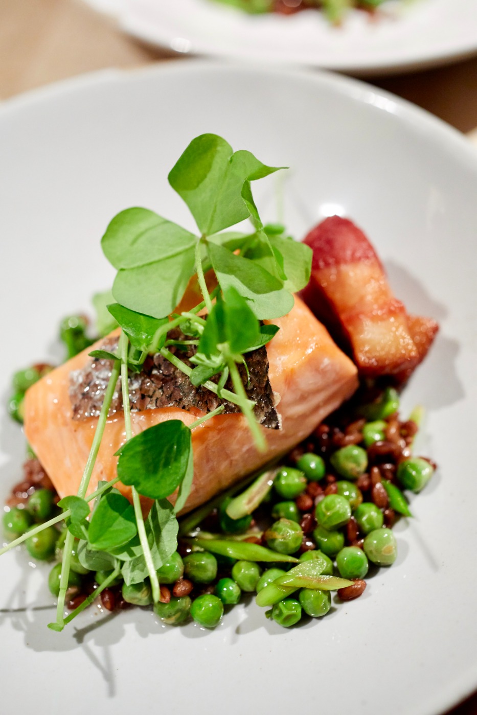 0502119_DC_JBF_BTB_0451.jpg 0502119_DC_JBF_BTB_0451.jpg