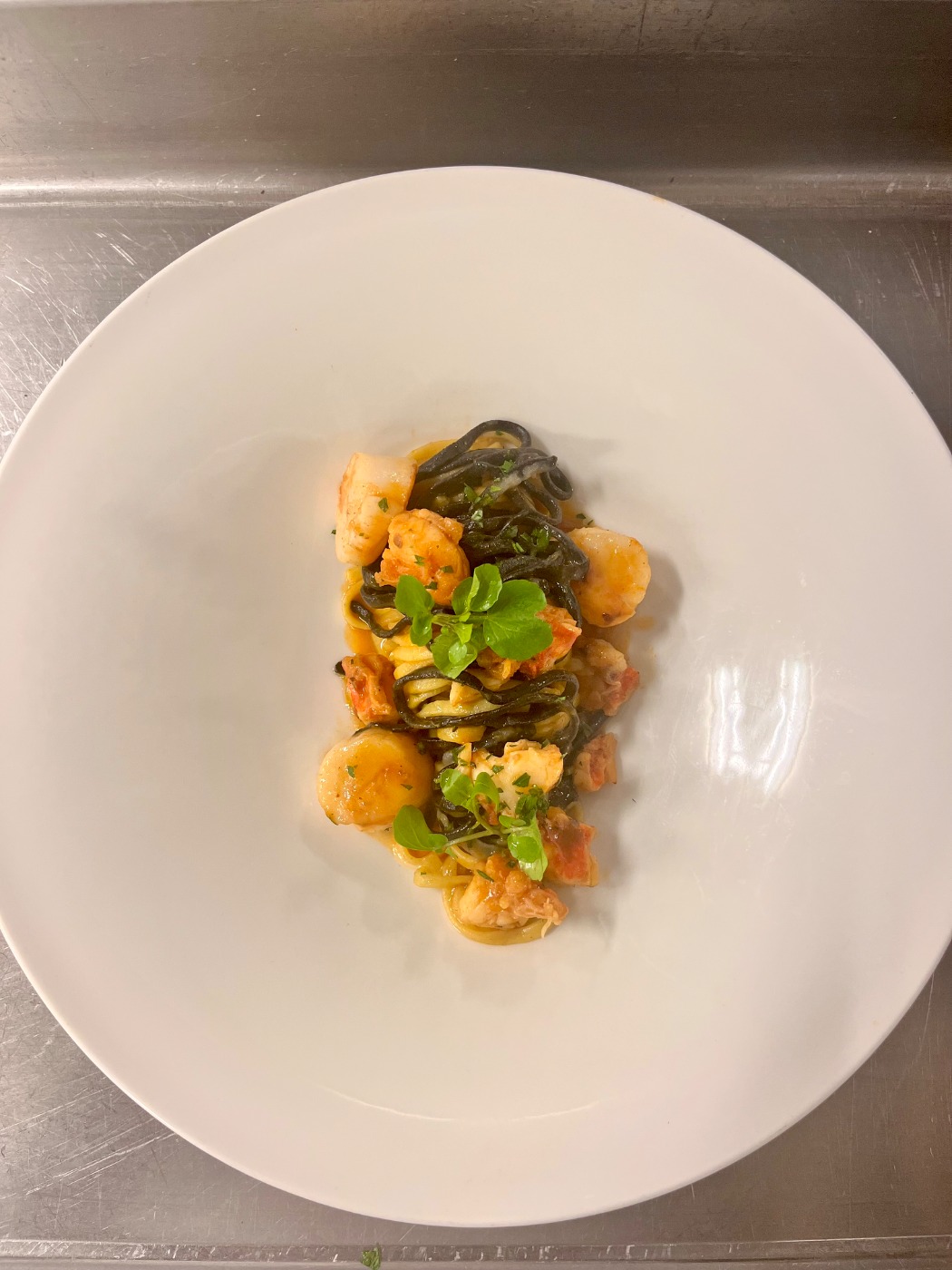 IMG_0345.jpeg IMG_0345.jpeg