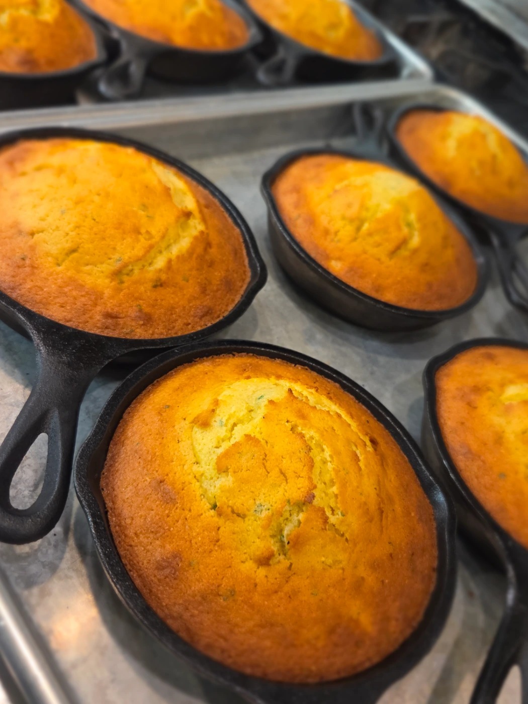 20260129_150553.jpg 20260129_150553.jpg