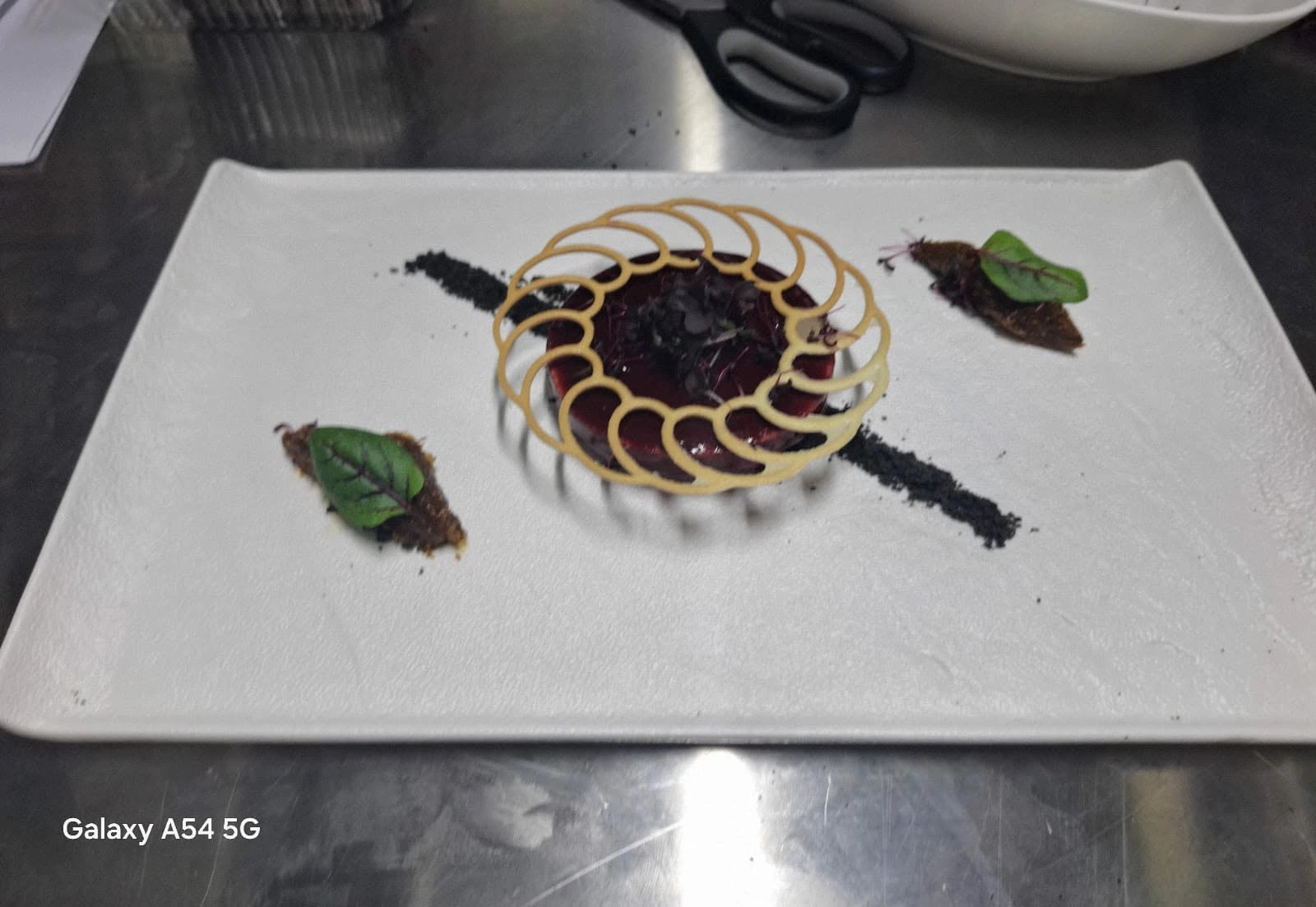 b7d256db-b743-4949-84c4-937bf43f73ea.jpg b7d256db-b743-4949-84c4-937bf43f73ea.jpg