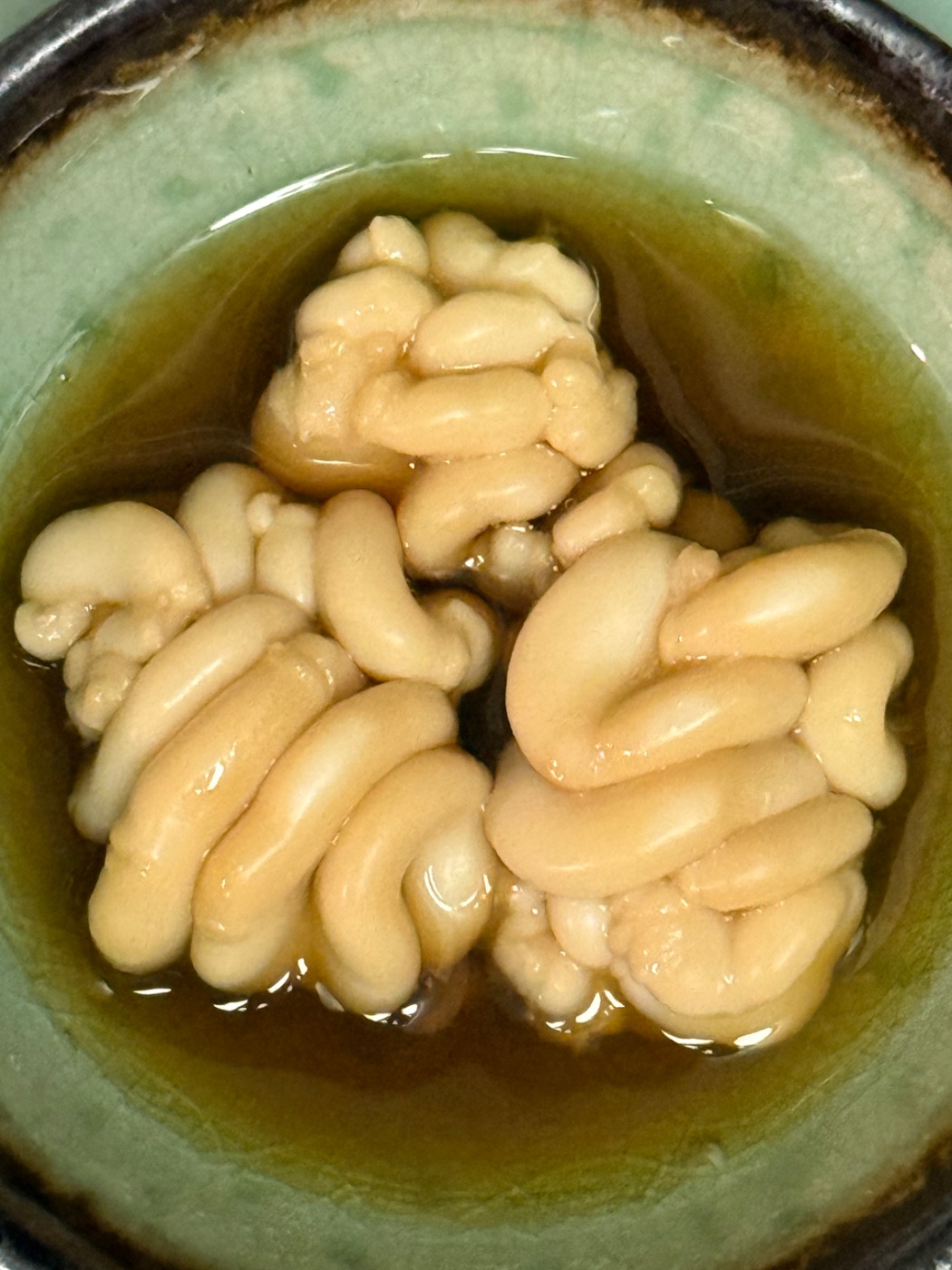 IMG_3432.jpeg IMG_3432.jpeg