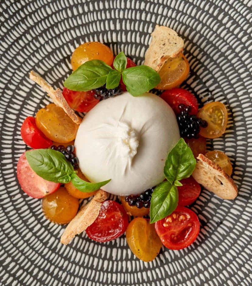 IMG_0249.jpeg IMG_0249.jpeg