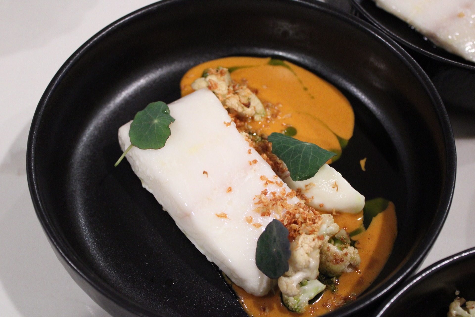 IMG_0068.jpeg IMG_0068.jpeg