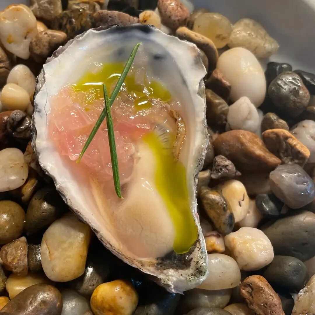 IMG_2063.jpeg IMG_2063.jpeg