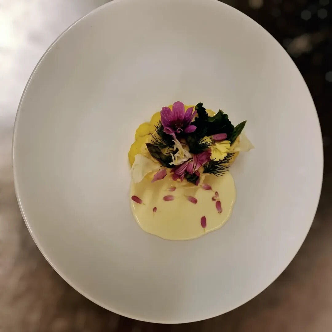 IMG_2067.jpeg IMG_2067.jpeg