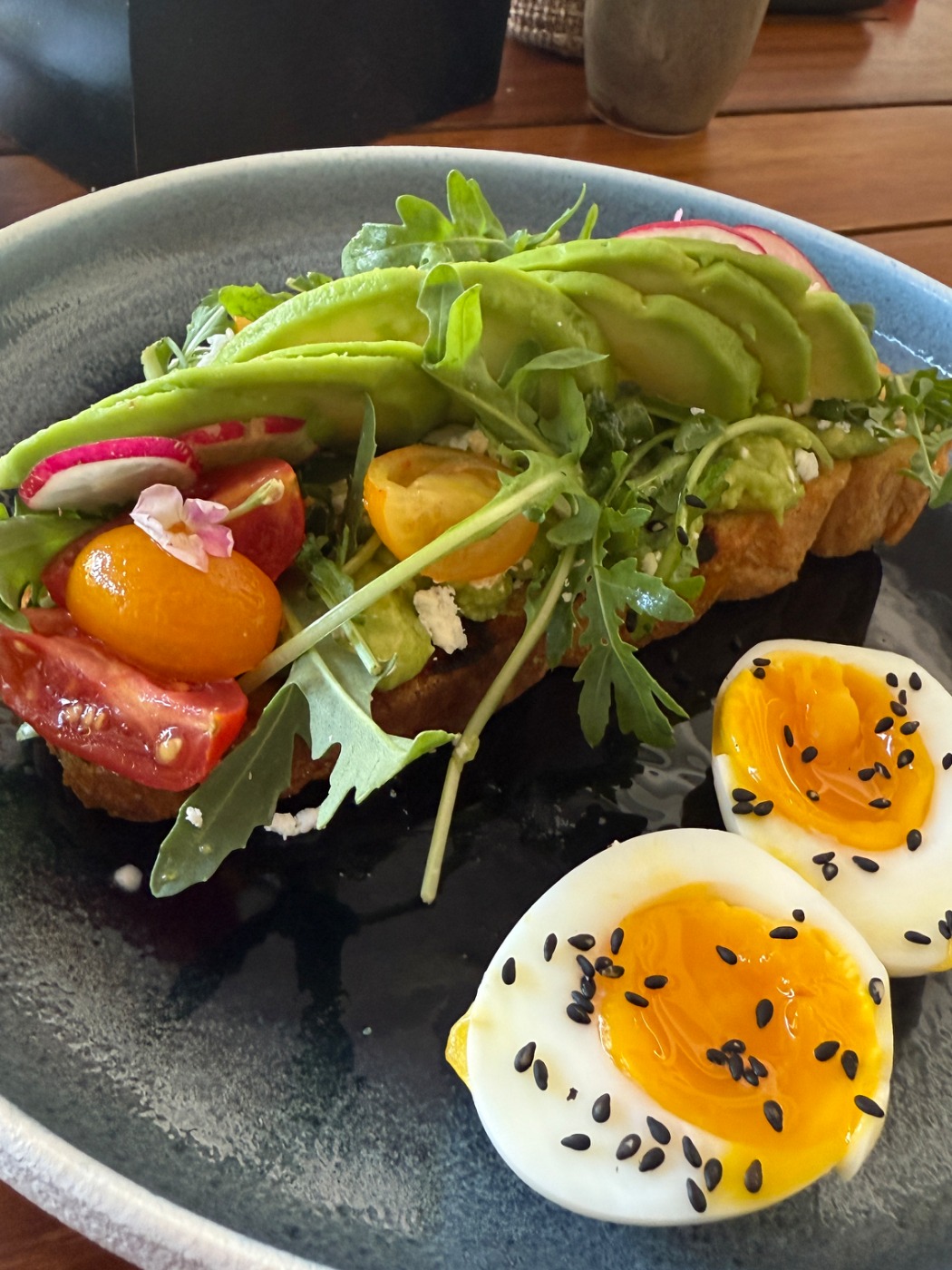 IMG_4986.jpeg IMG_4986.jpeg