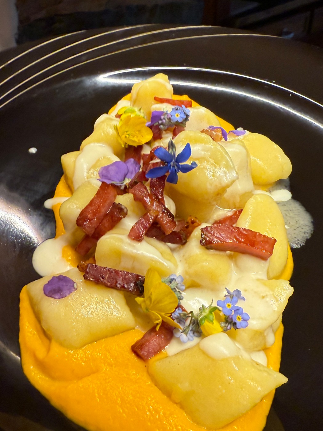 IMG_3877.jpeg IMG_3877.jpeg