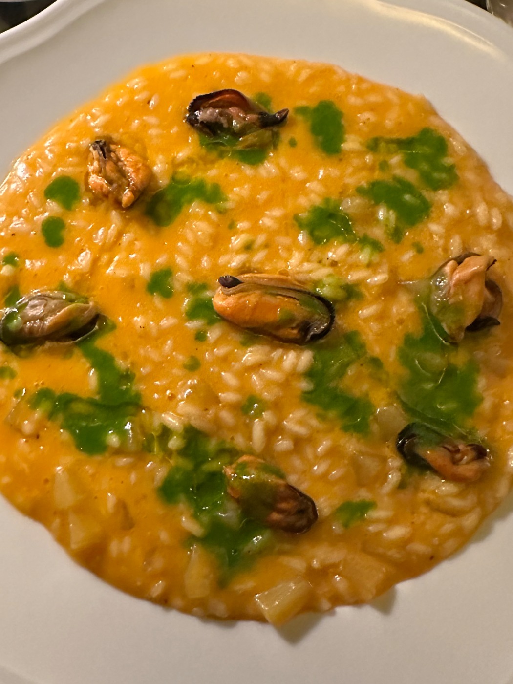 IMG_4141.jpeg IMG_4141.jpeg