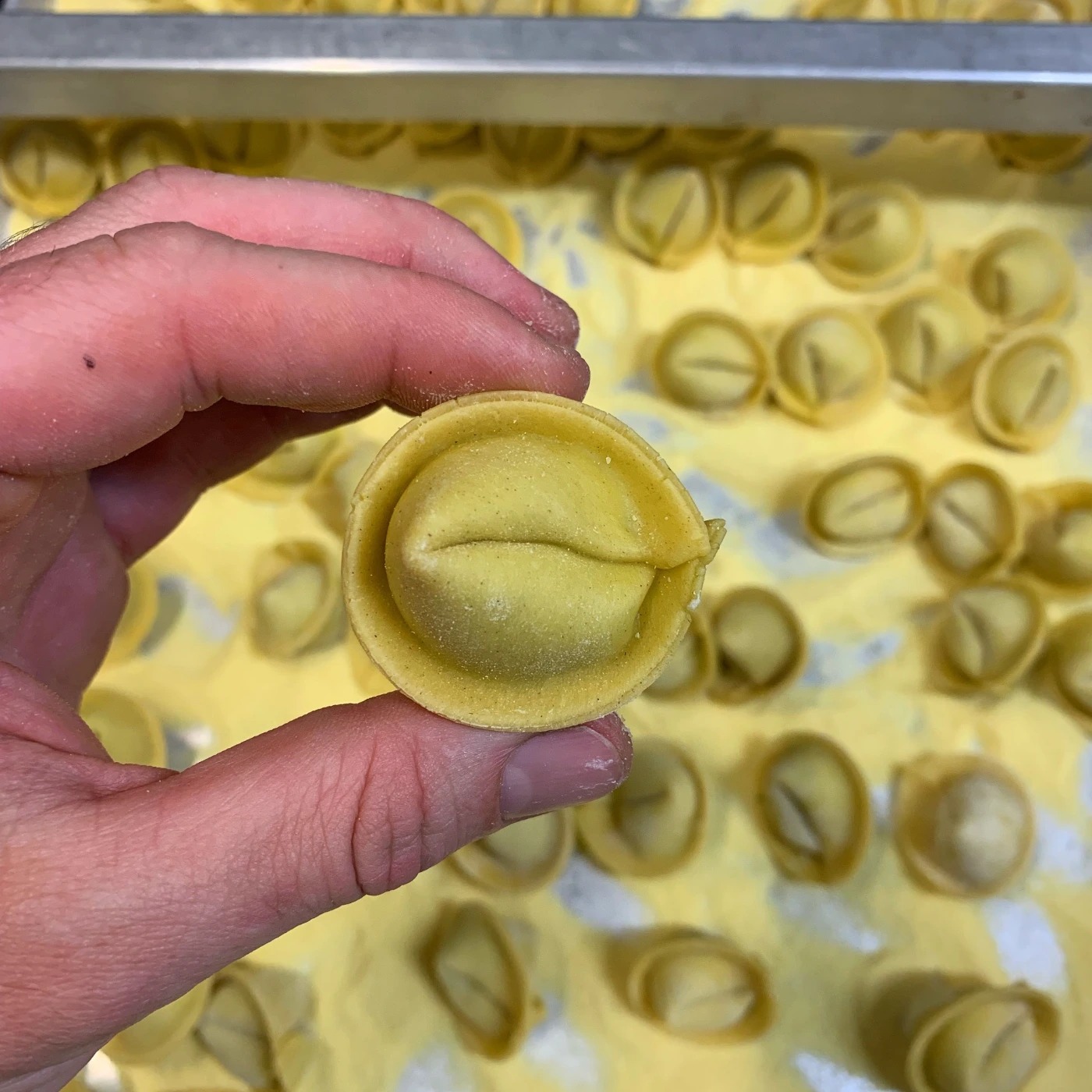 tortelloni.jpg tortelloni.jpg