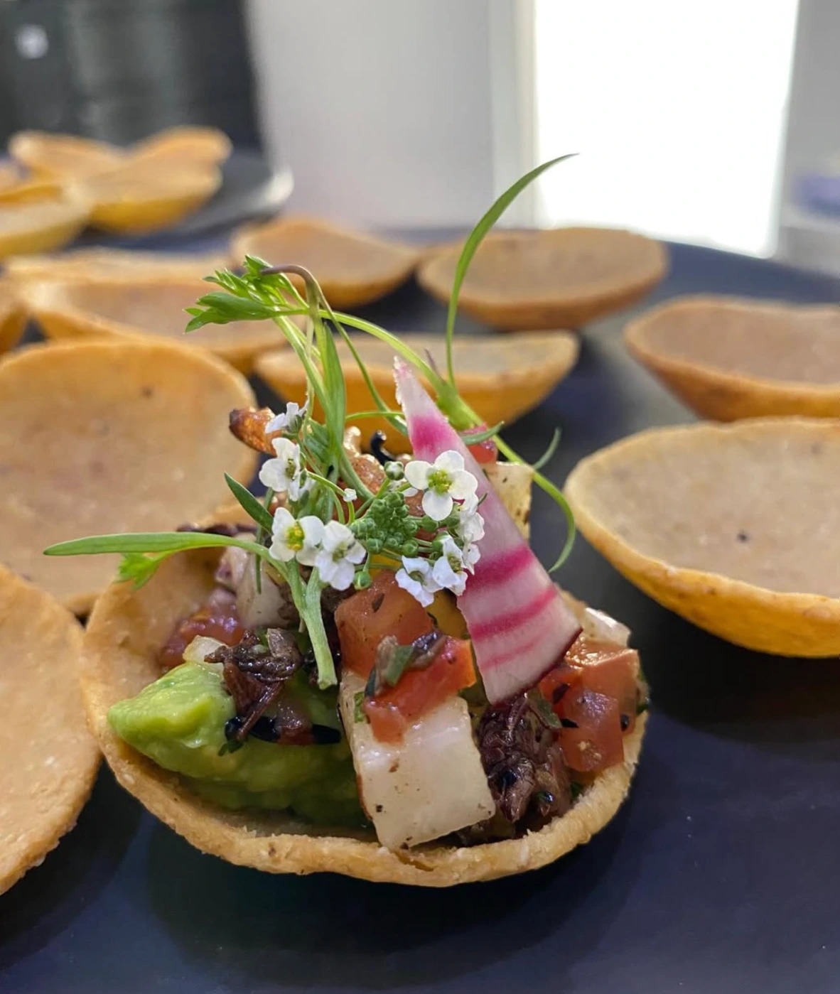 Screenshot 2026-02-27 at 12.35.30 p.m..png